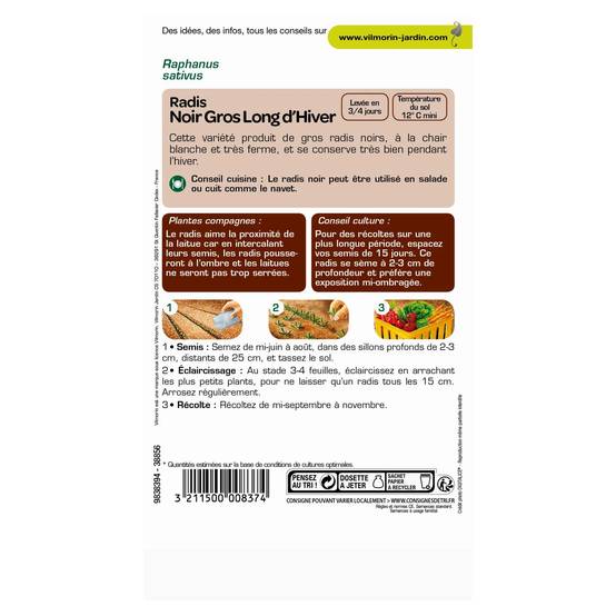 Vilmorin - Radis Noir Gros Long d'Hiver serie 1 sachet graines 6 g - Vilmorin - Image 4