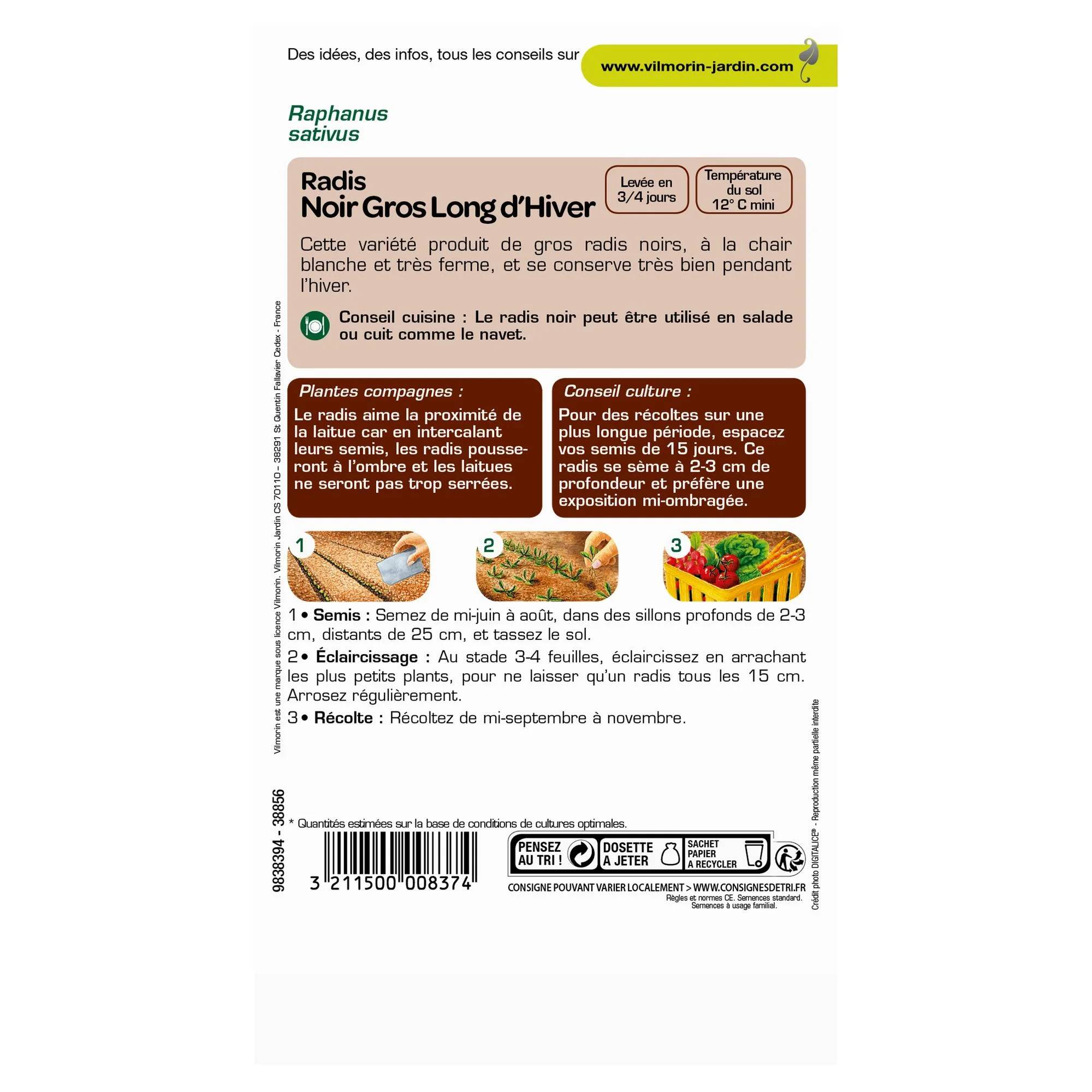 Vilmorin - Radis Noir Gros Long d'Hiver serie 1 sachet graines 6 g - Vilmorin - Image 3