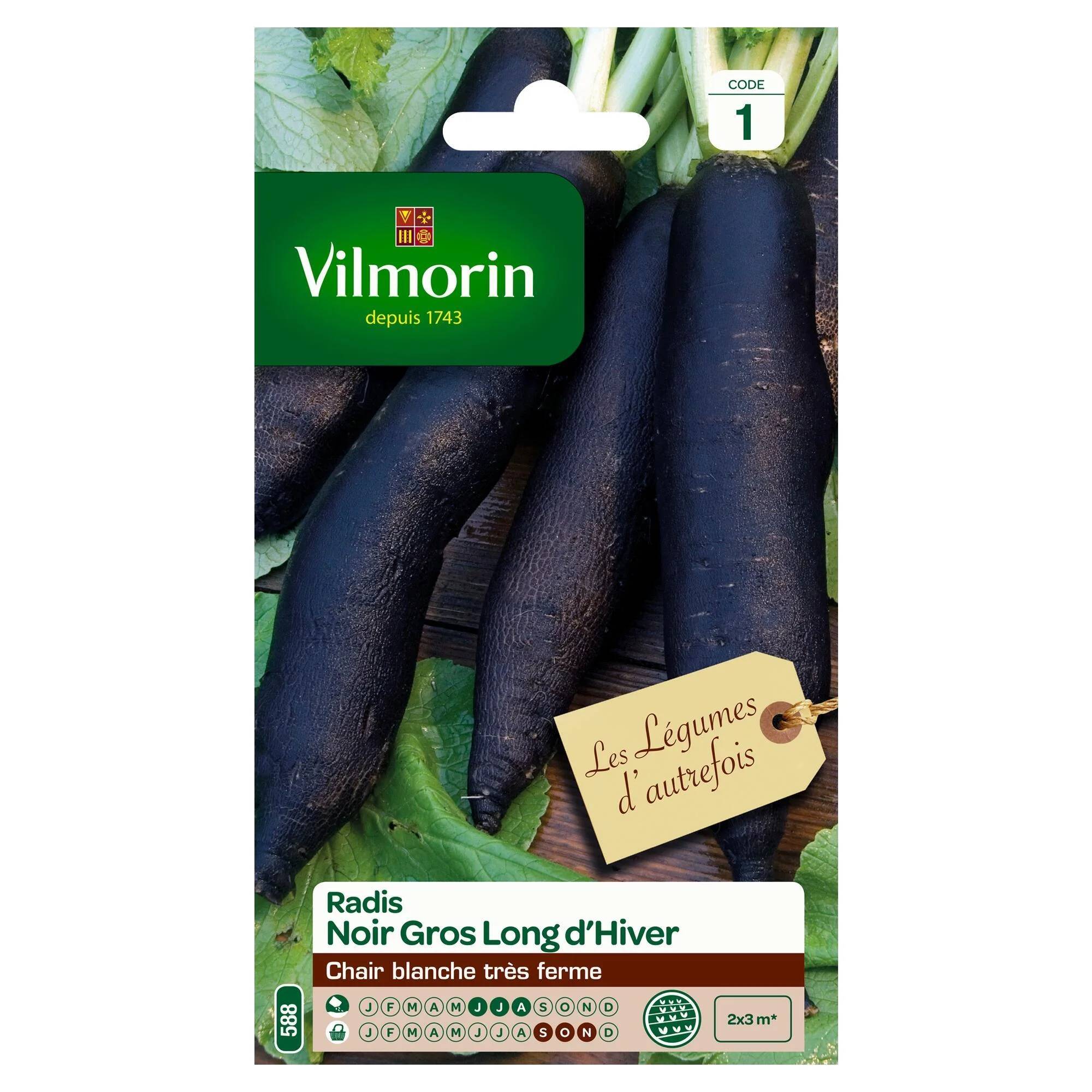 Vilmorin - Radis Noir Gros Long d'Hiver serie 1 sachet graines 6 g - Vilmorin - Image 1