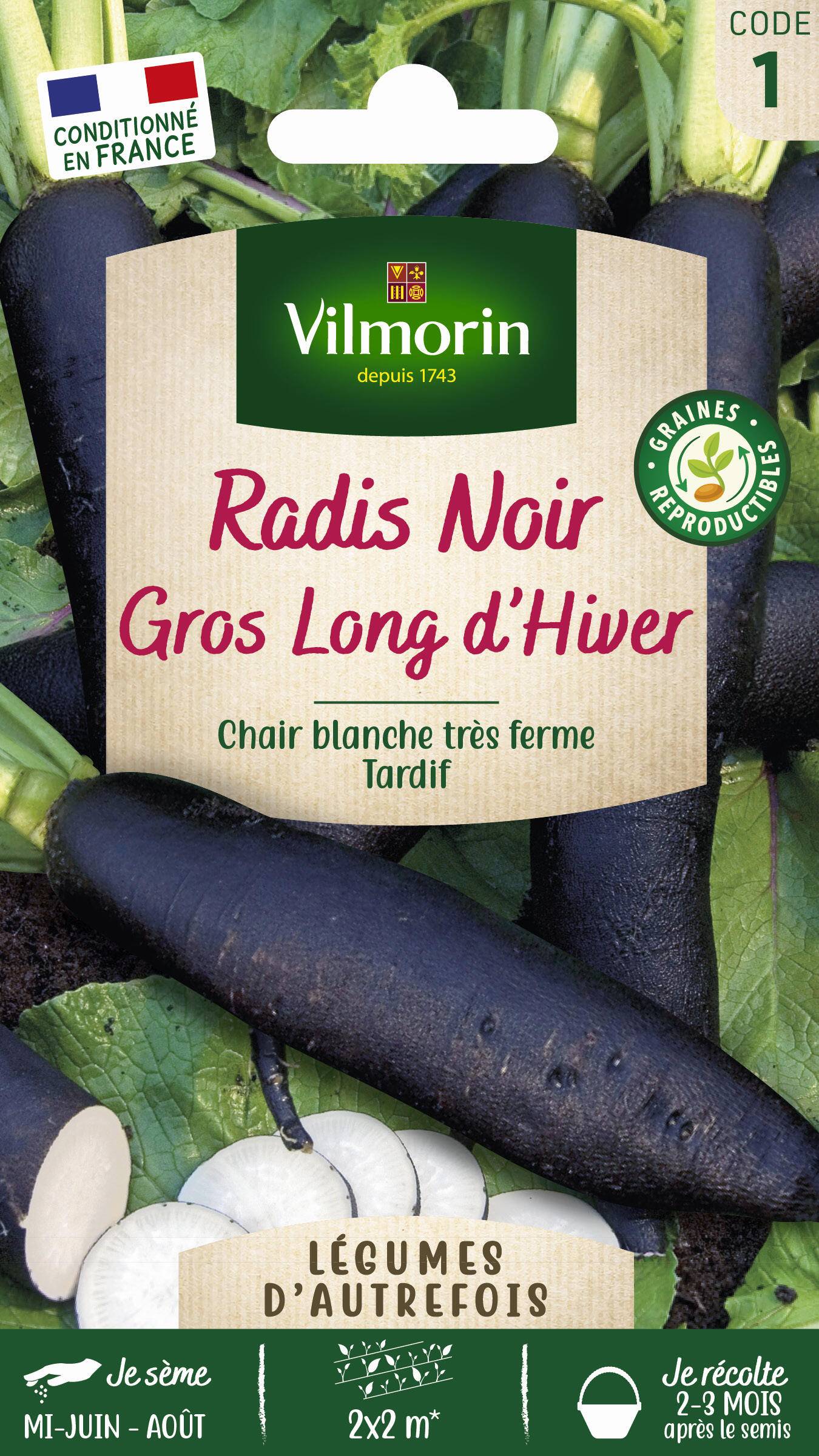 Vilmorin - Radis Noir Gros Long d'Hiver serie 1 sachet graines 6 g - Vilmorin - Image 2