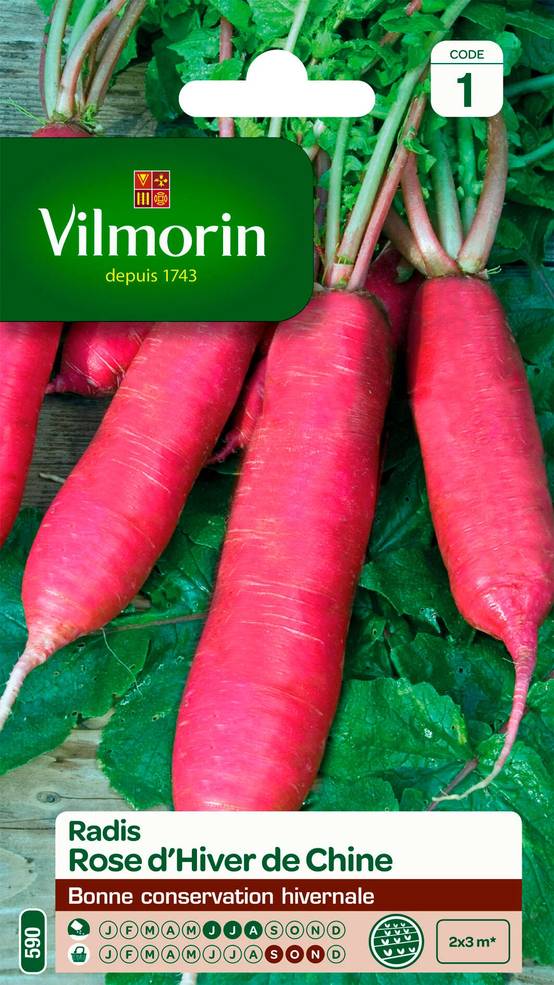 Vilmorin - Radis rose d'hiver de Chine série 1 sachet graines 6 g - Vilmorin - Image 2