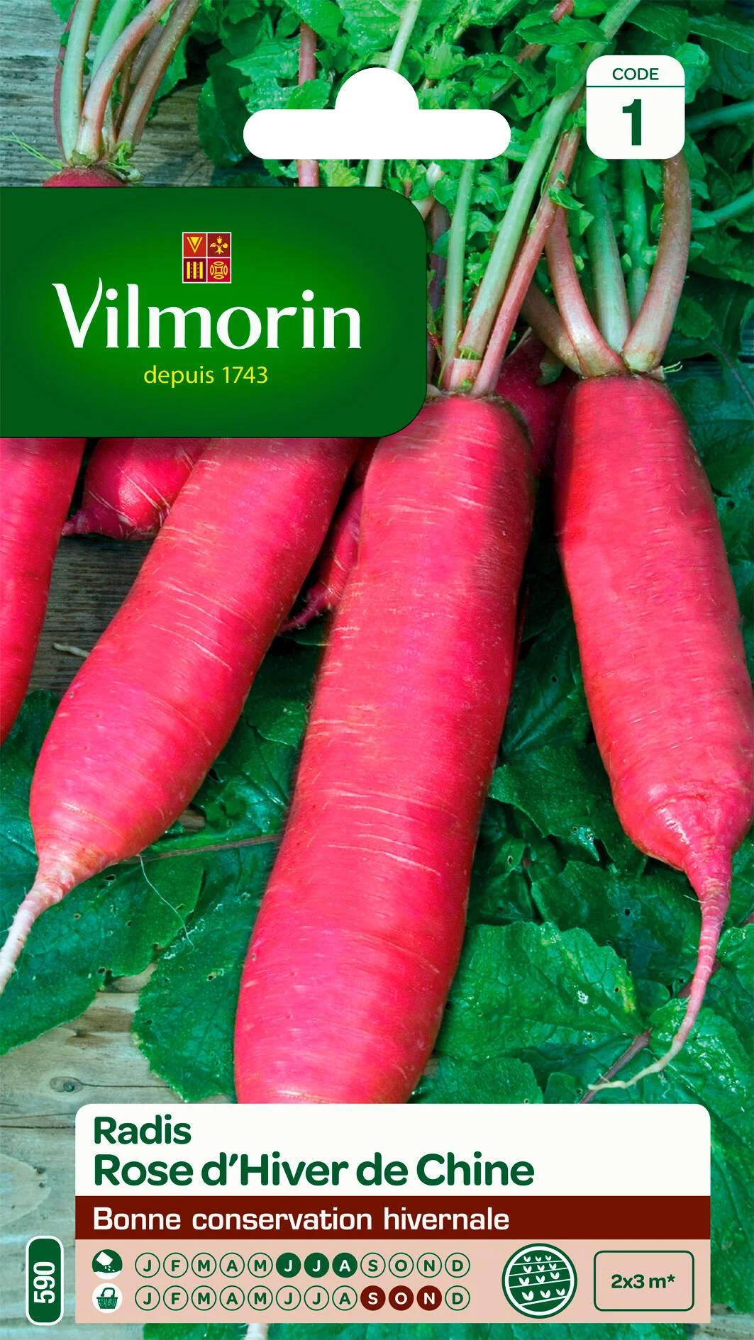 Vilmorin - Radis rose d'hiver de Chine série 1 sachet graines 6 g - Vilmorin - Image 2