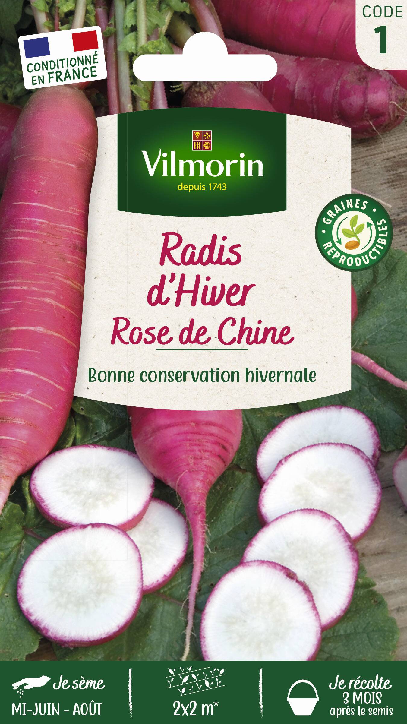 Vilmorin - Radis rose d'hiver de Chine série 1 sachet graines 6 g - Vilmorin - Image 1