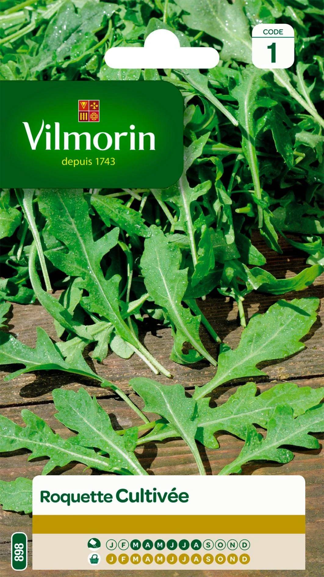 Vilmorin - Roquette cultivée série 1 sachet graines 5 g - Vilmorin - Image 1