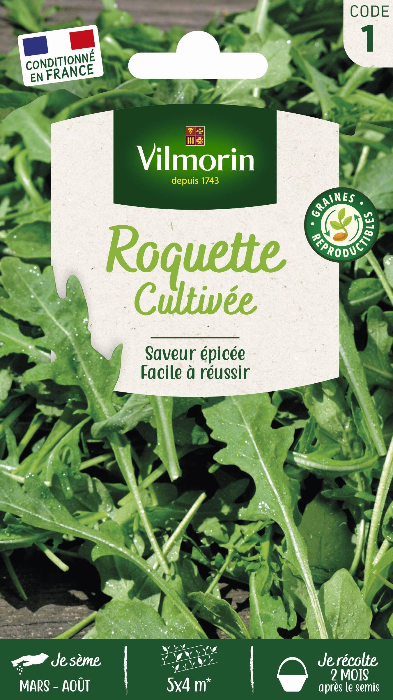 Vilmorin - Roquette cultivée série 1 sachet graines 5 g - Vilmorin - Image 2