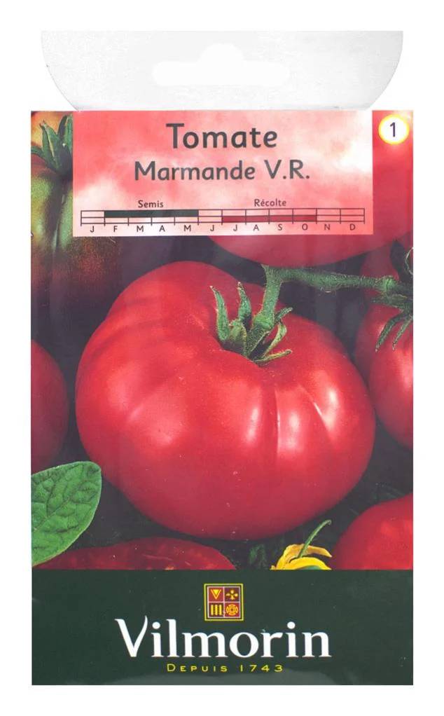 Vilmorin - Tomate Marmande série 1 sachet graines 1,5 g - Vilmorin - Image 2