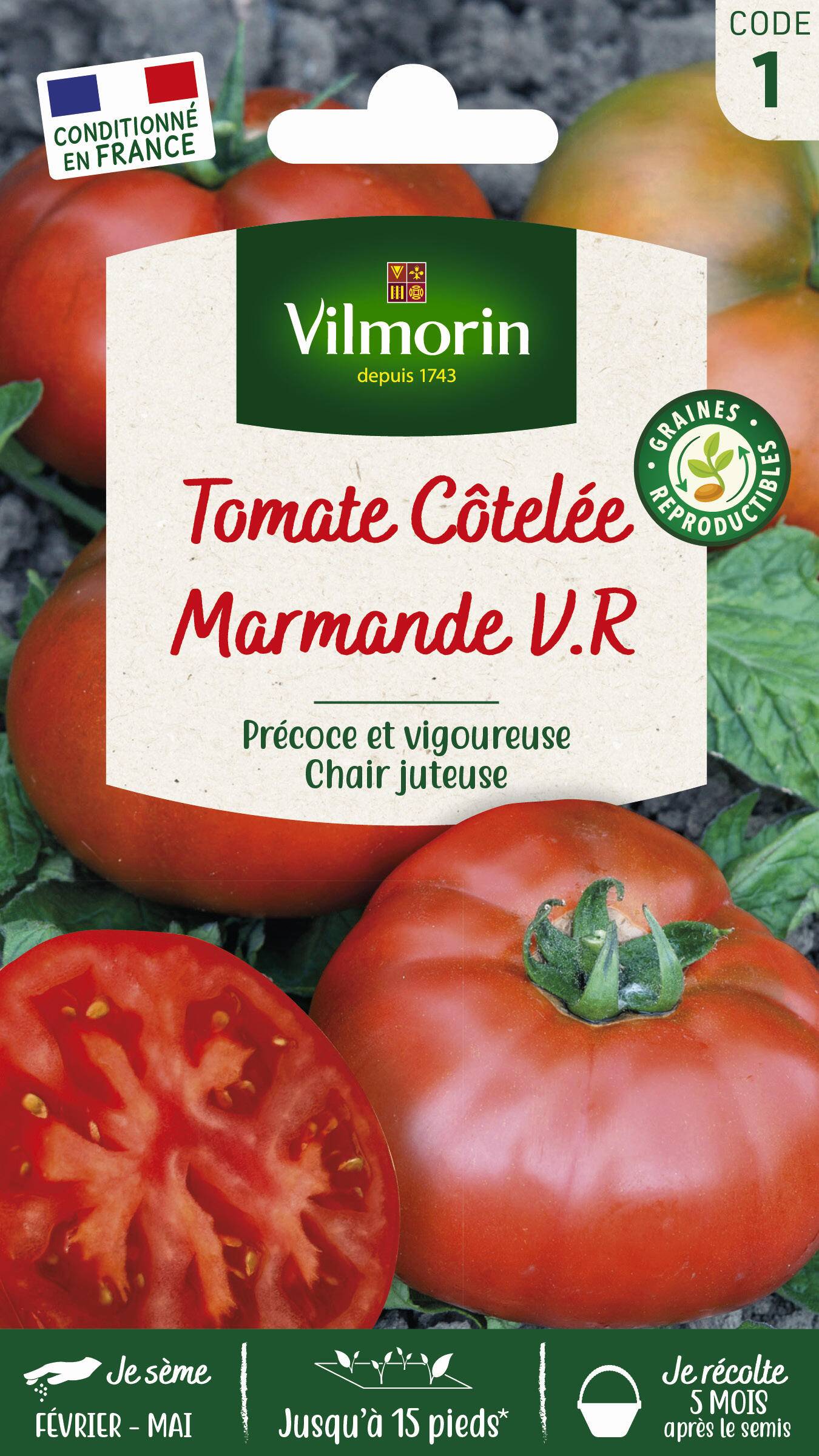 Vilmorin - Tomate Marmande série 1 sachet graines 1,5 g - Vilmorin - Image 3