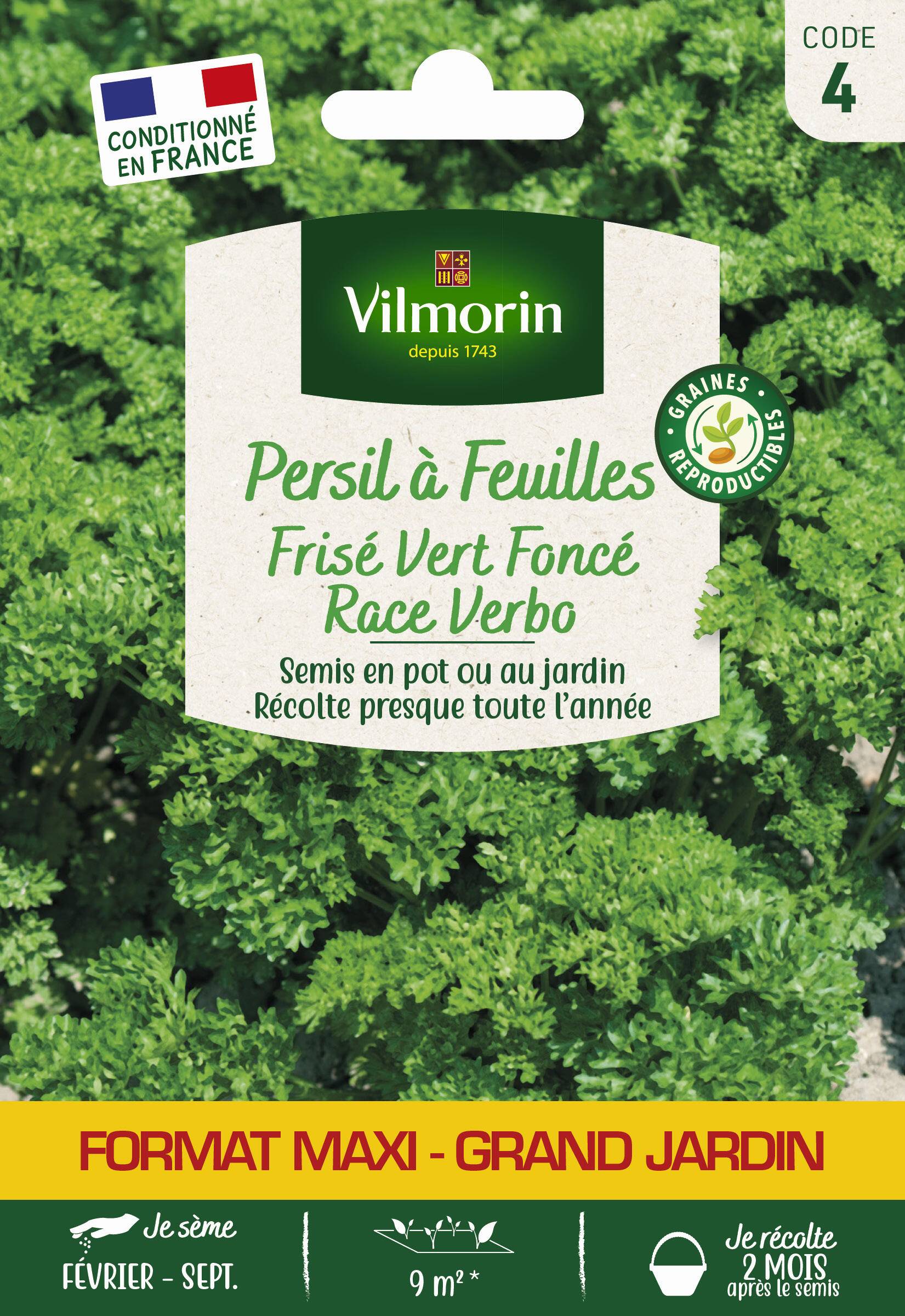 Vilmorin - Persil à feuilles frisé vert foncé race verbo grand jardin série 4 sachet graines 15 g - Vilmorin