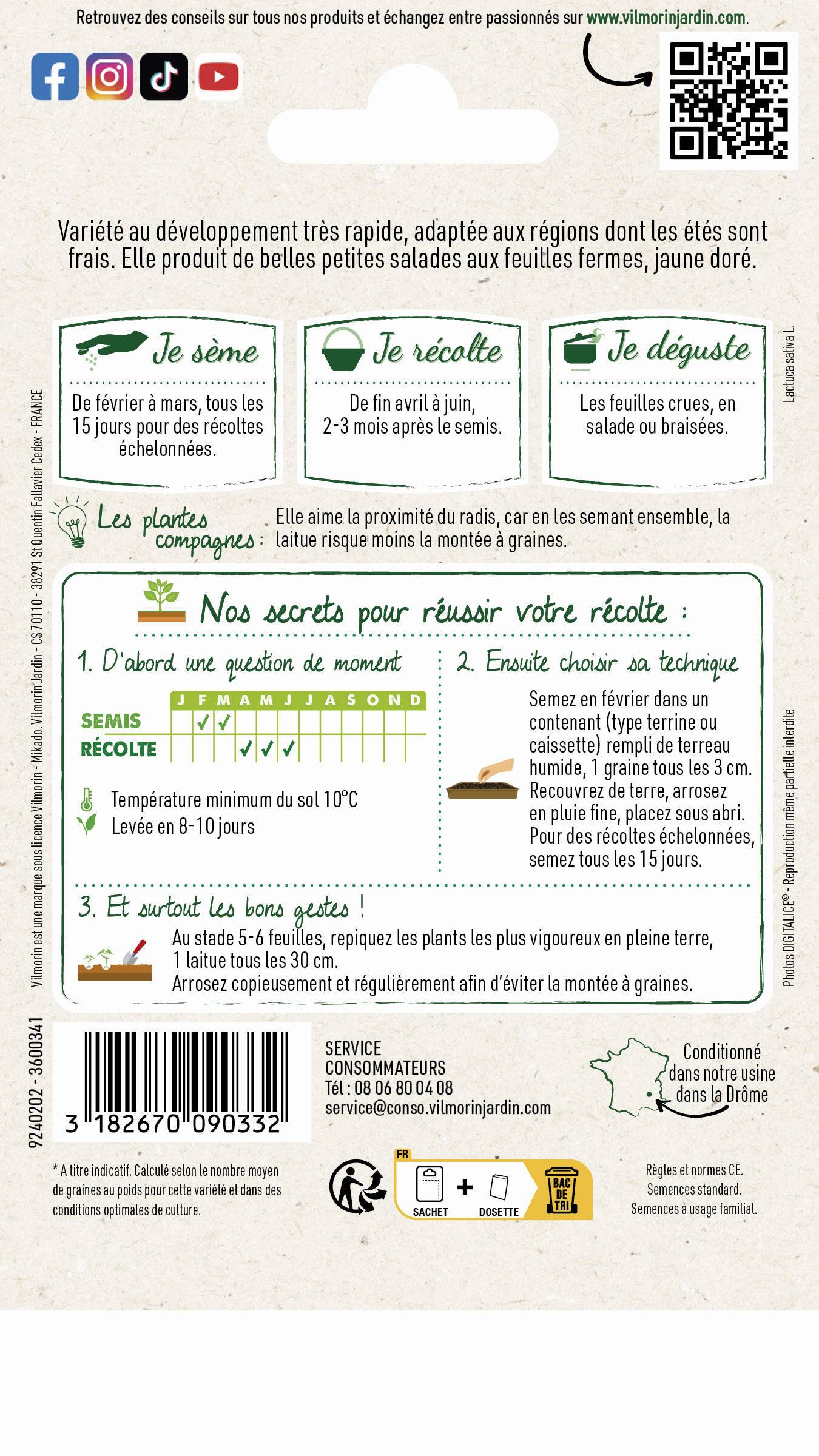 Vilmorin - Laitue romaine Gotte jaune d'or gotte dorée série 1 sachet graines 4 g - Vilmorin - Image 4
