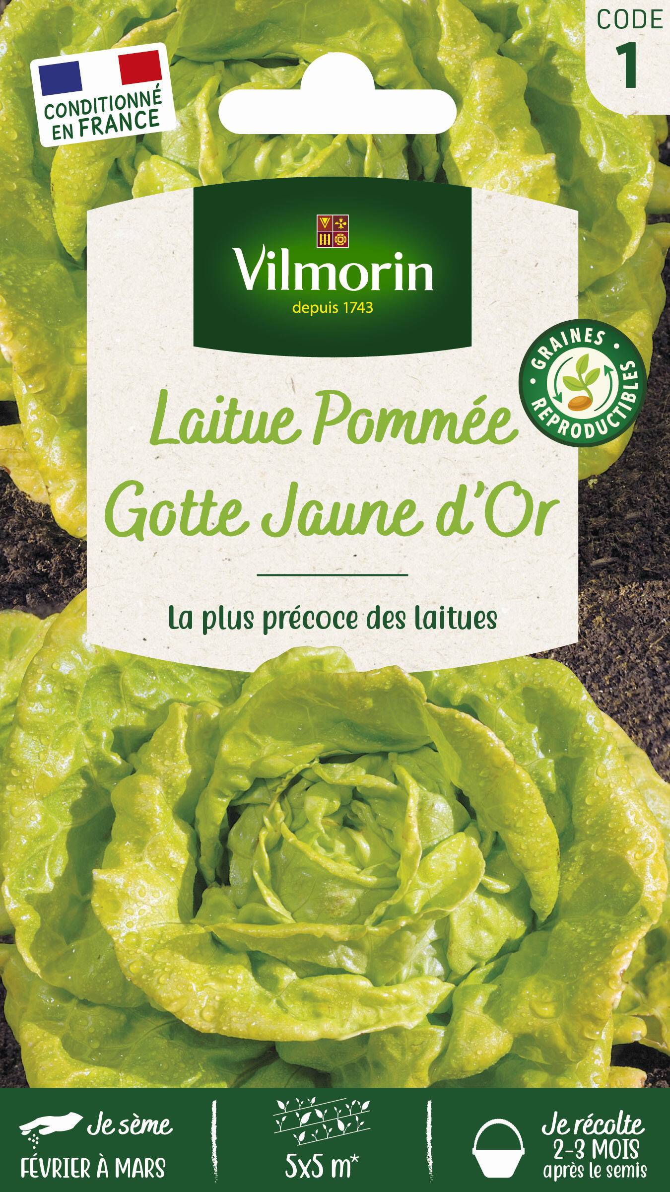 Vilmorin - Laitue romaine Gotte jaune d'or gotte dorée série 1 sachet graines 4 g - Vilmorin - Image 2