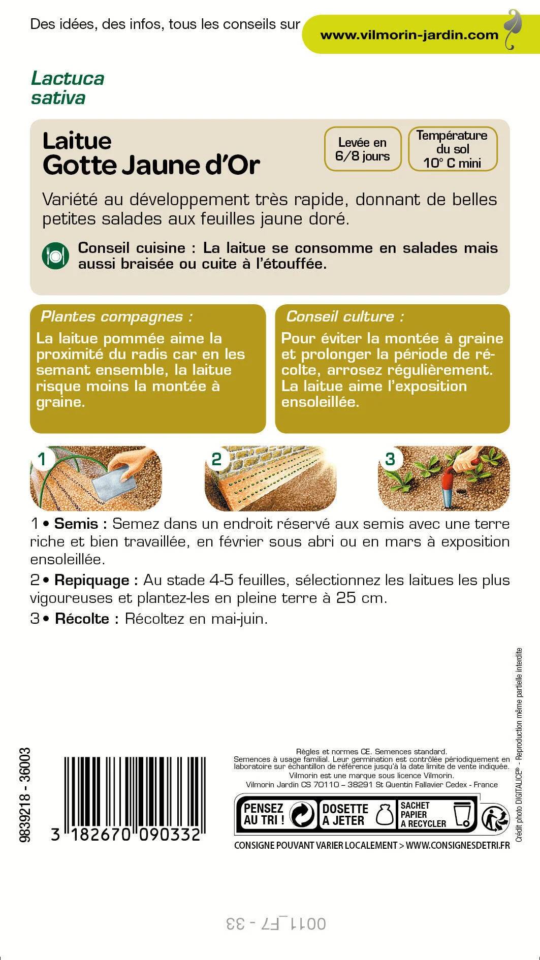Vilmorin - Laitue romaine Gotte jaune d'or gotte dorée série 1 sachet graines 4 g - Vilmorin - Image 3