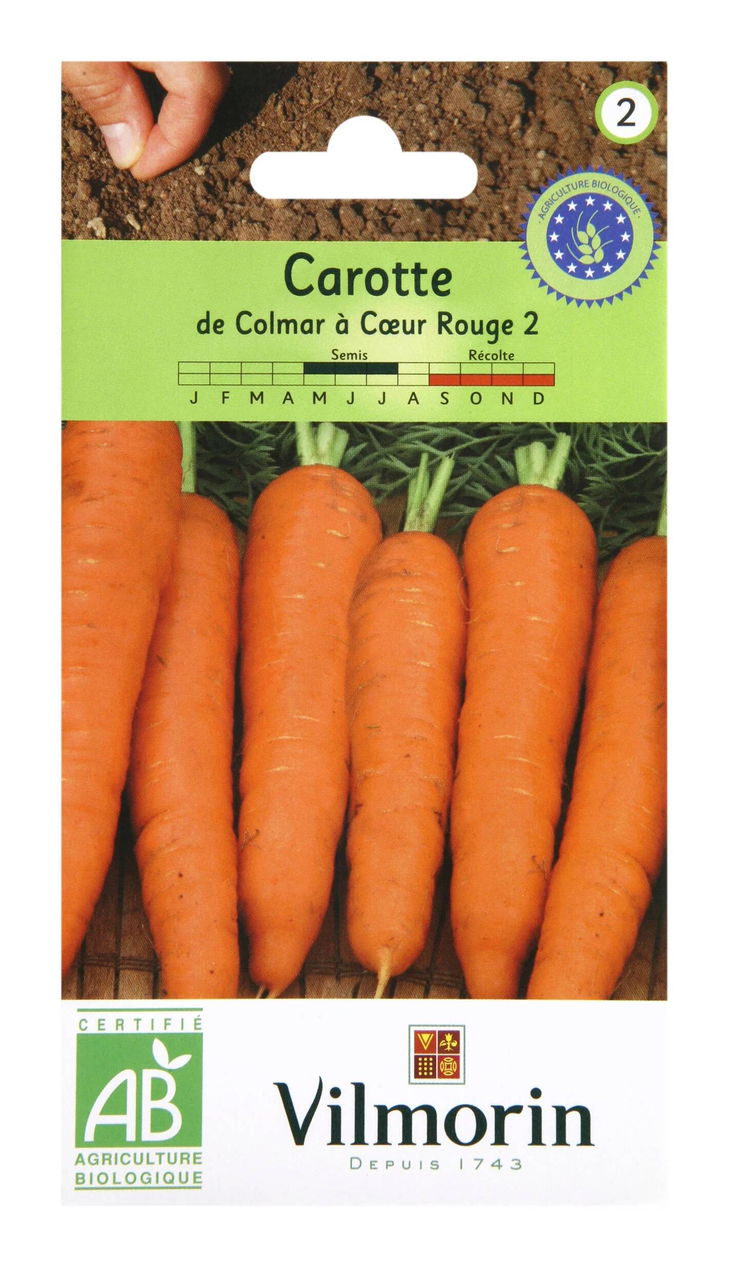 Vilmorin - Carotte de Colmar à cœur rouge 2 Bio série 2 sachet graines 4 g - Vilmorin - Image 3