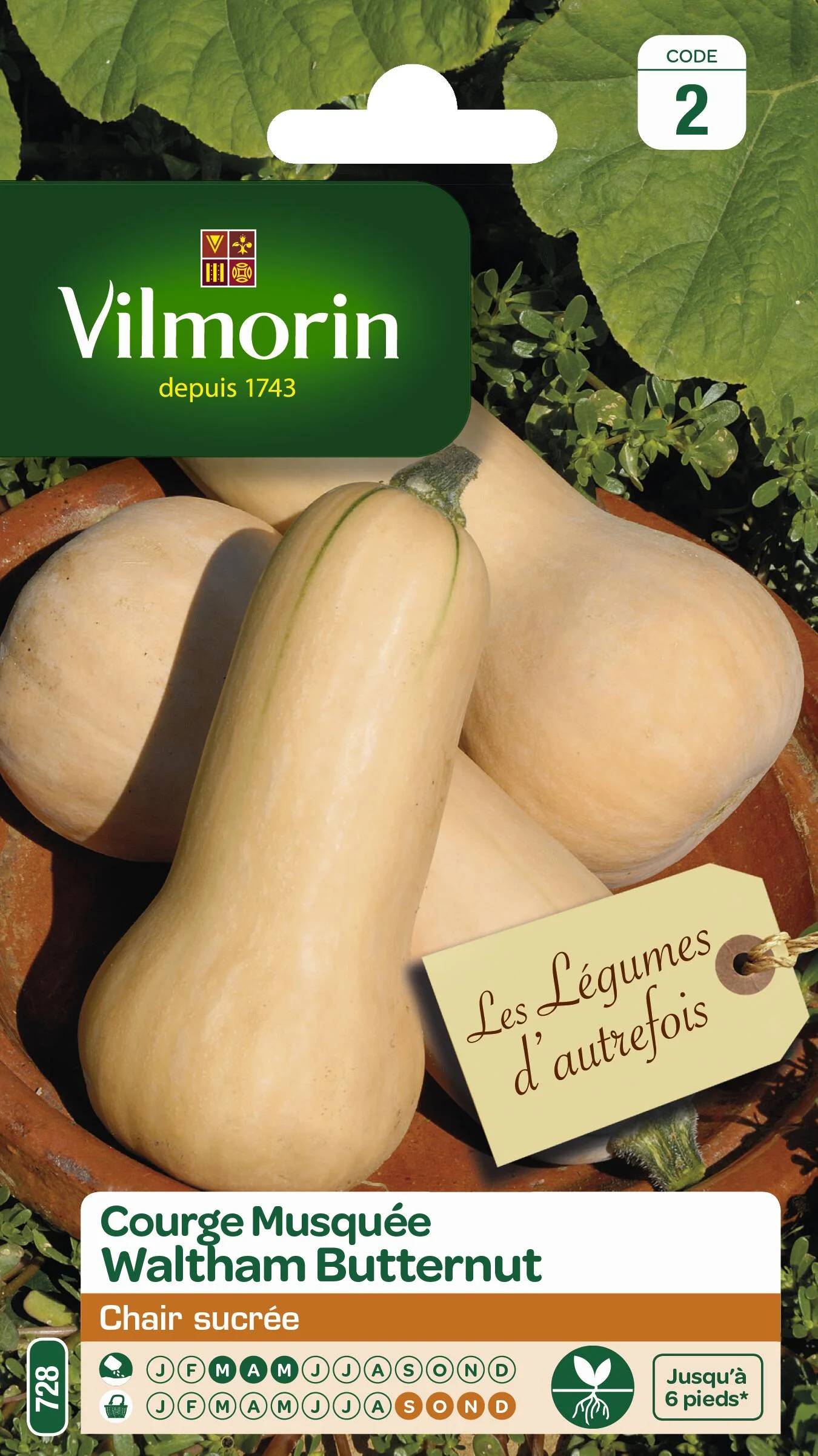 Vilmorin - Courge Waltham butternut série 2 sachet graines 3 g - Vilmorin - Image 2