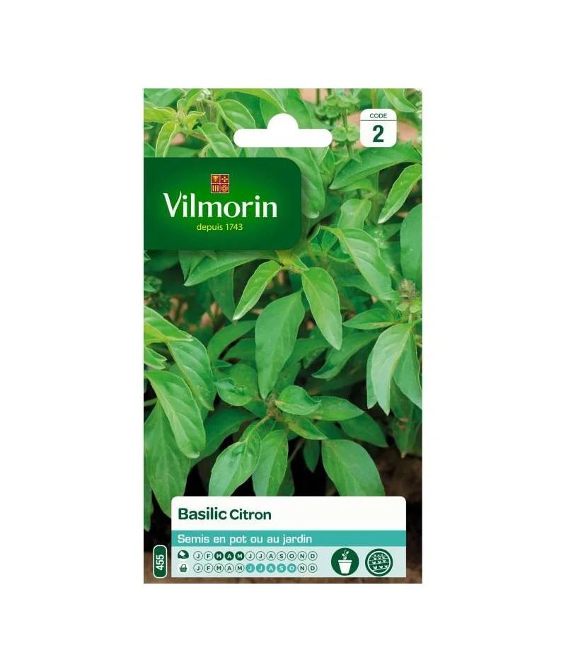 Vilmorin - Basilic citron série 2 sachet graines 1 g - Vilmorin