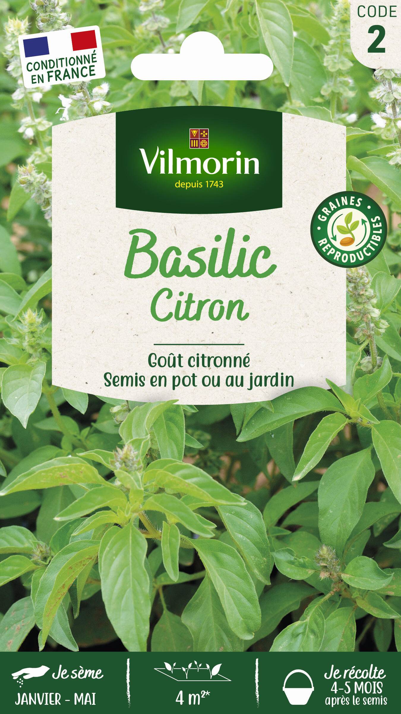 Vilmorin - Basilic citron série 2 sachet graines 1 g - Vilmorin - Image 2