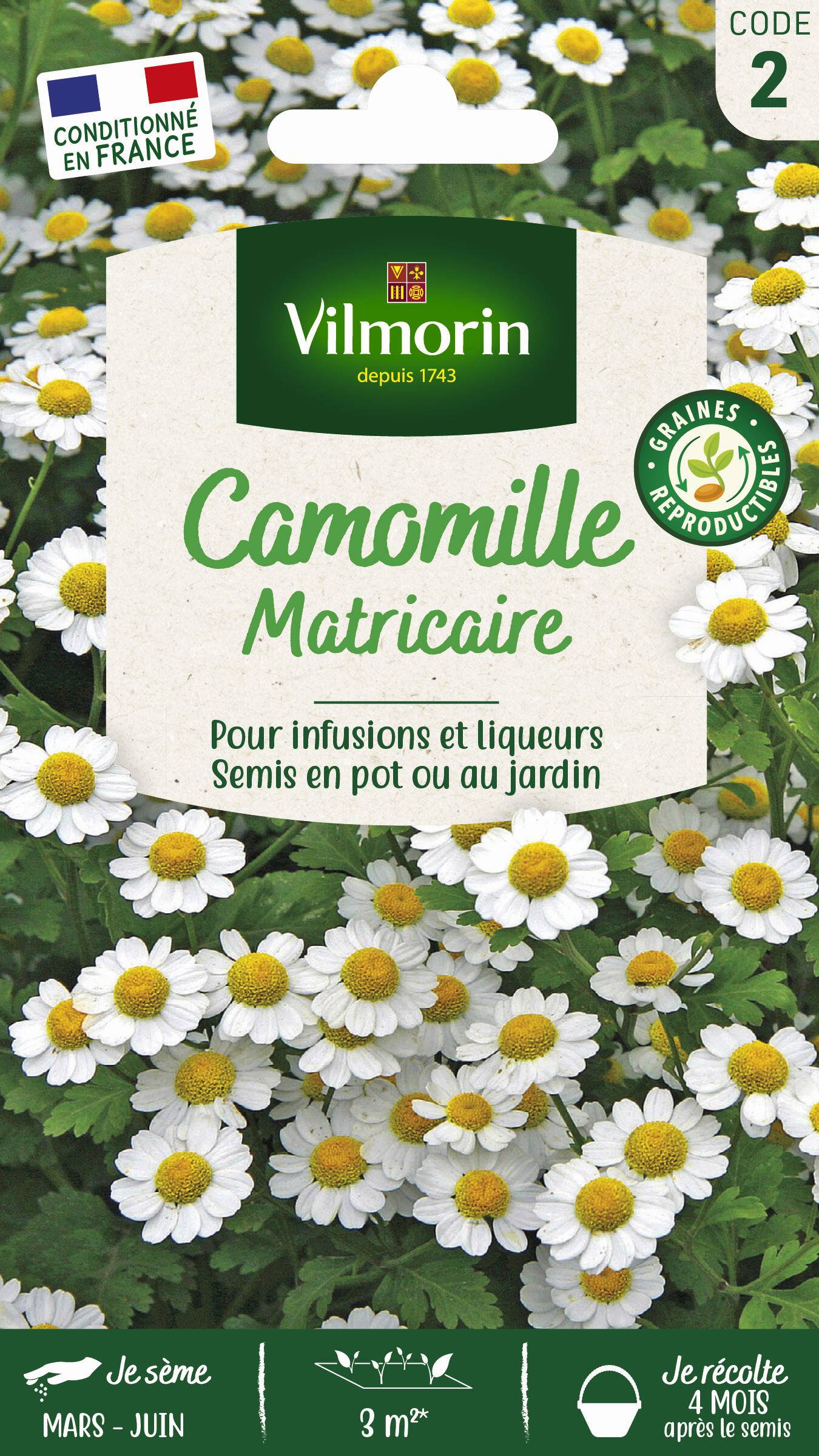 Vilmorin - Camomille série 2 sachet graines 0,5 g - Vilmorin - Image 1