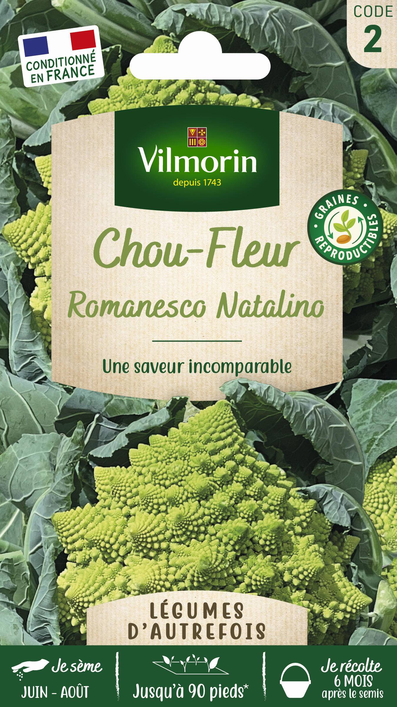 Vilmorin - Chou brocoli romanesco précoce série 2 sachet graines 2 g - Vilmorin