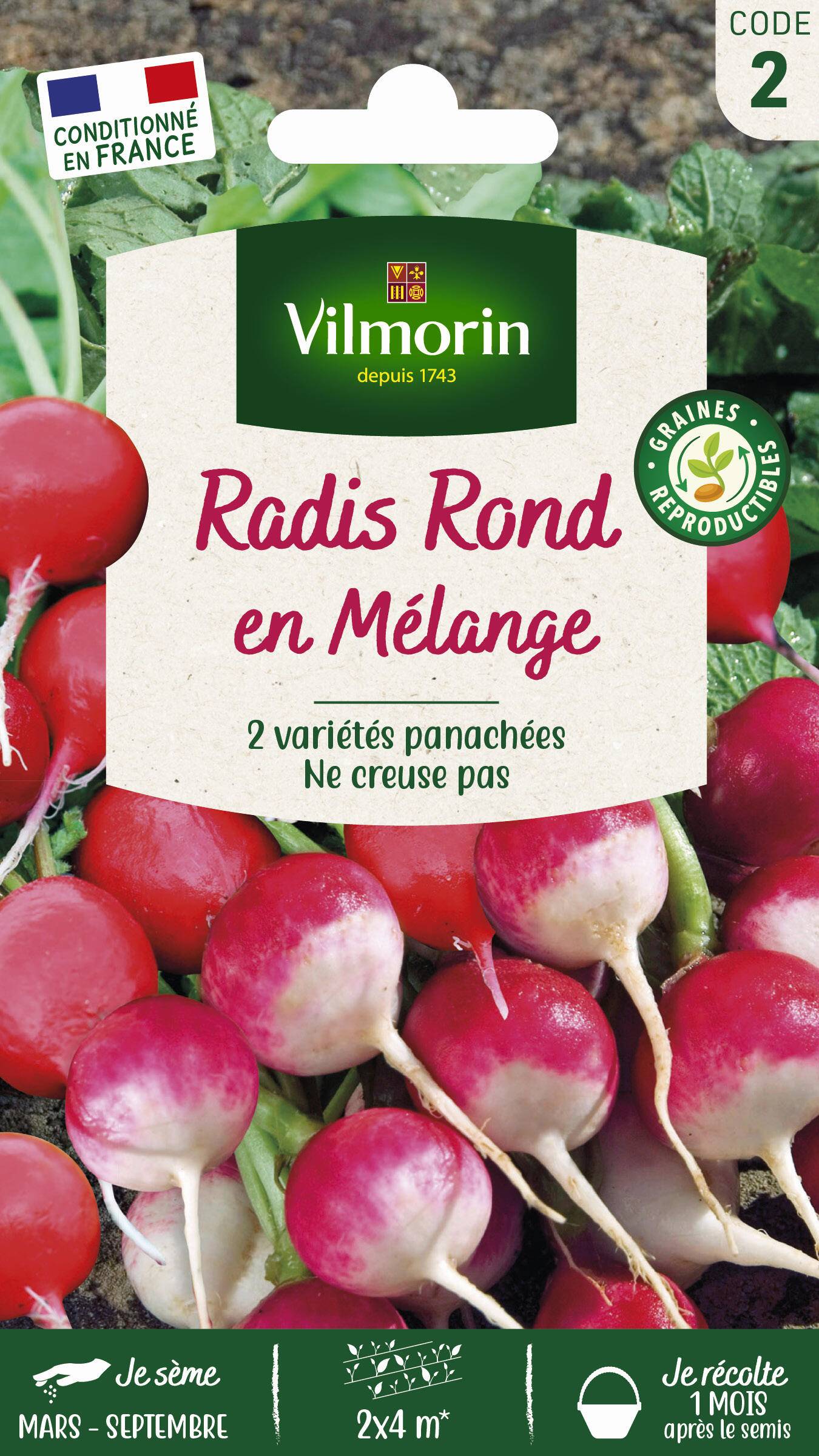 Vilmorin - Radis ronds en mélange Gaudry 2 / Jolly série 2 sachet graines 10 g - Vilmorin - Image 2
