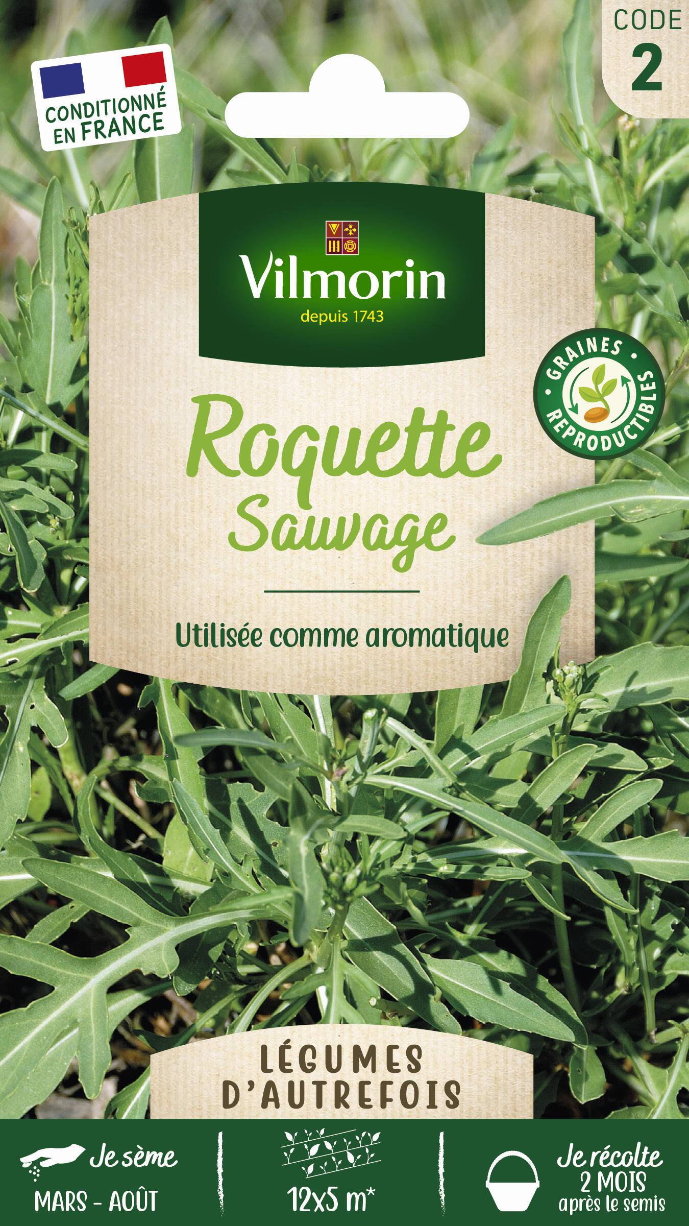 Vilmorin - Roquette sauvage série 2 sachet graines 2,5 g - Vilmorin - Image 2