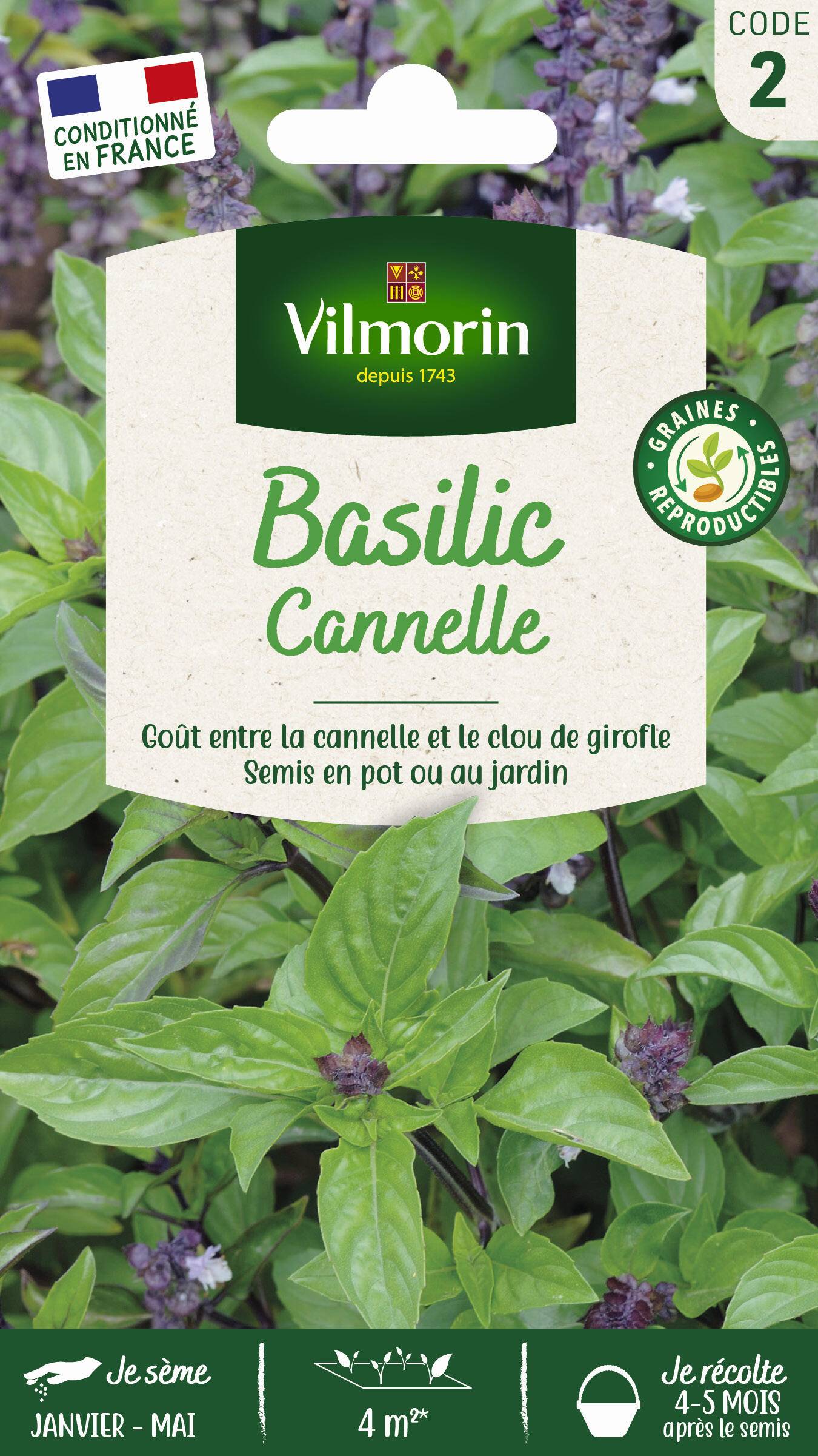 Vilmorin - Basilic cannelle série 2 sachet graines 1 g - Vilmorin - Image 1