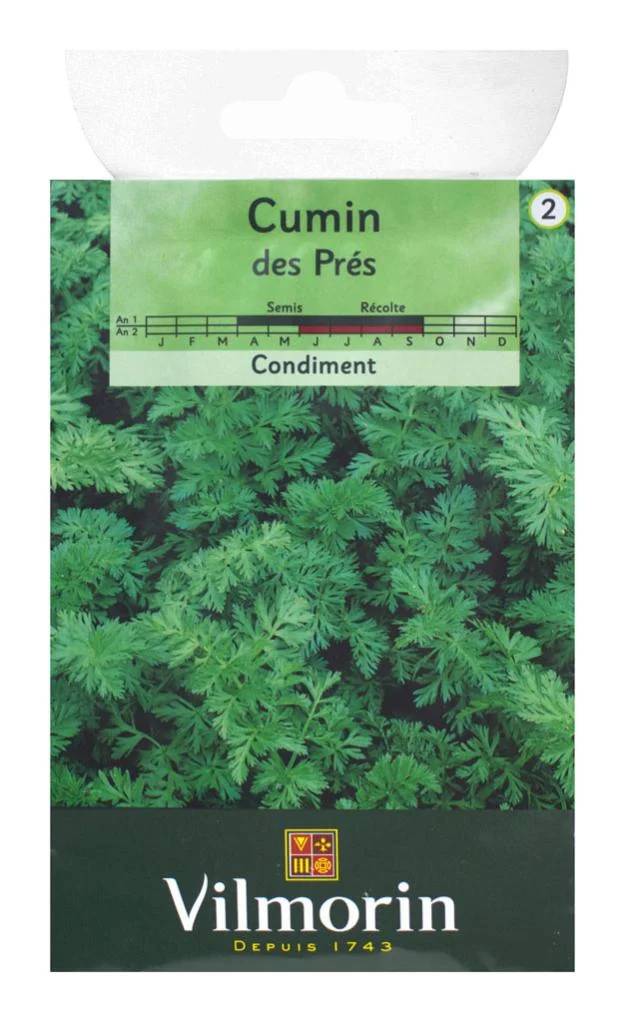 Vilmorin - Cumin des près ou carvi série 2 sachet graines 1 g - Vilmorin - Image 4