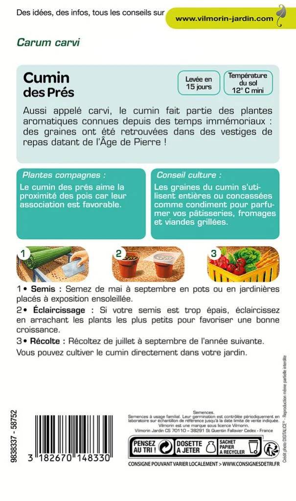 Vilmorin - Cumin des près ou carvi série 2 sachet graines 1 g - Vilmorin - Image 5