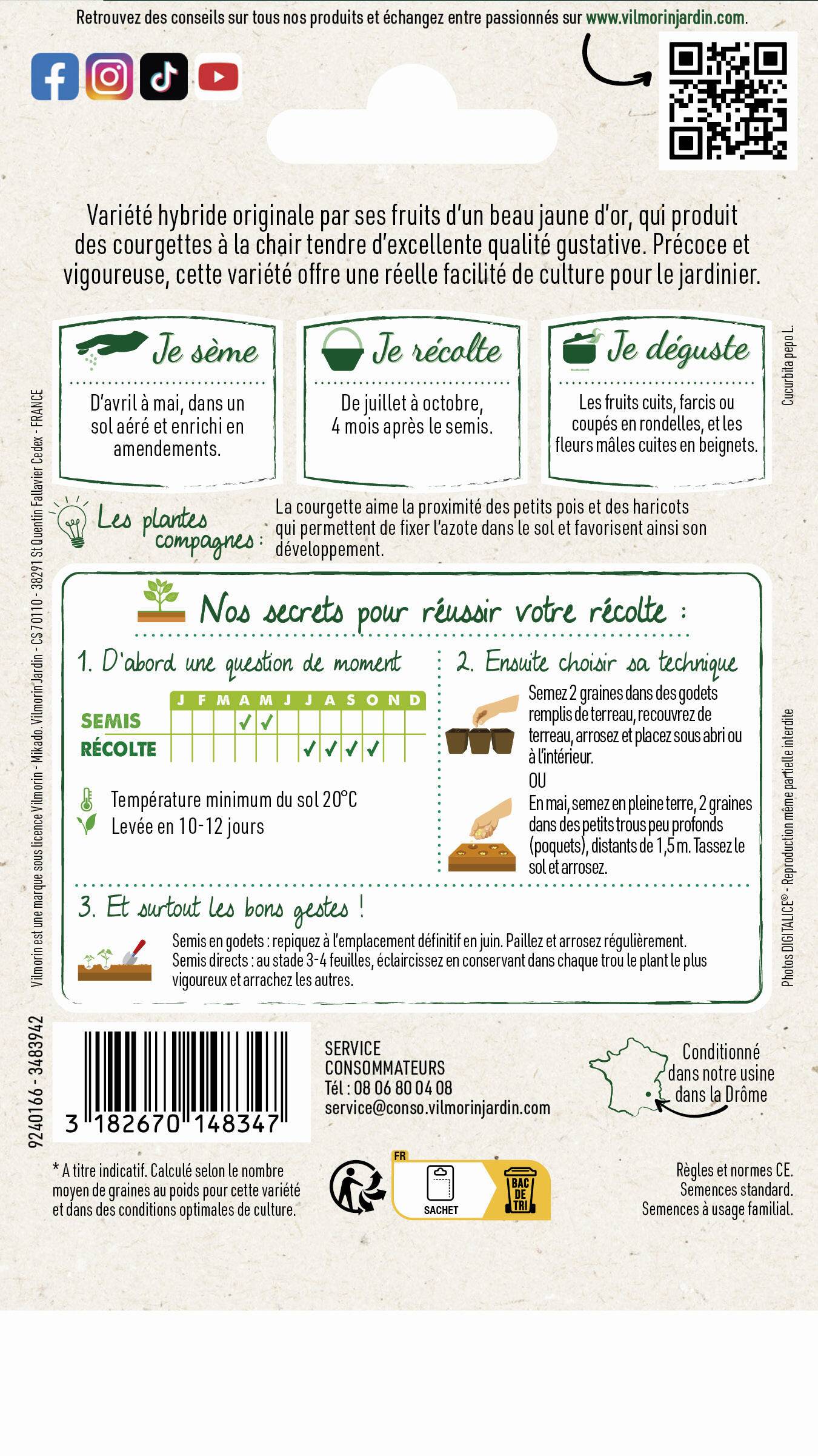 Vilmorin - Courgette orelia hf1 peau jaune série 2 sachet graines 2 g - Vilmorin - Image 3