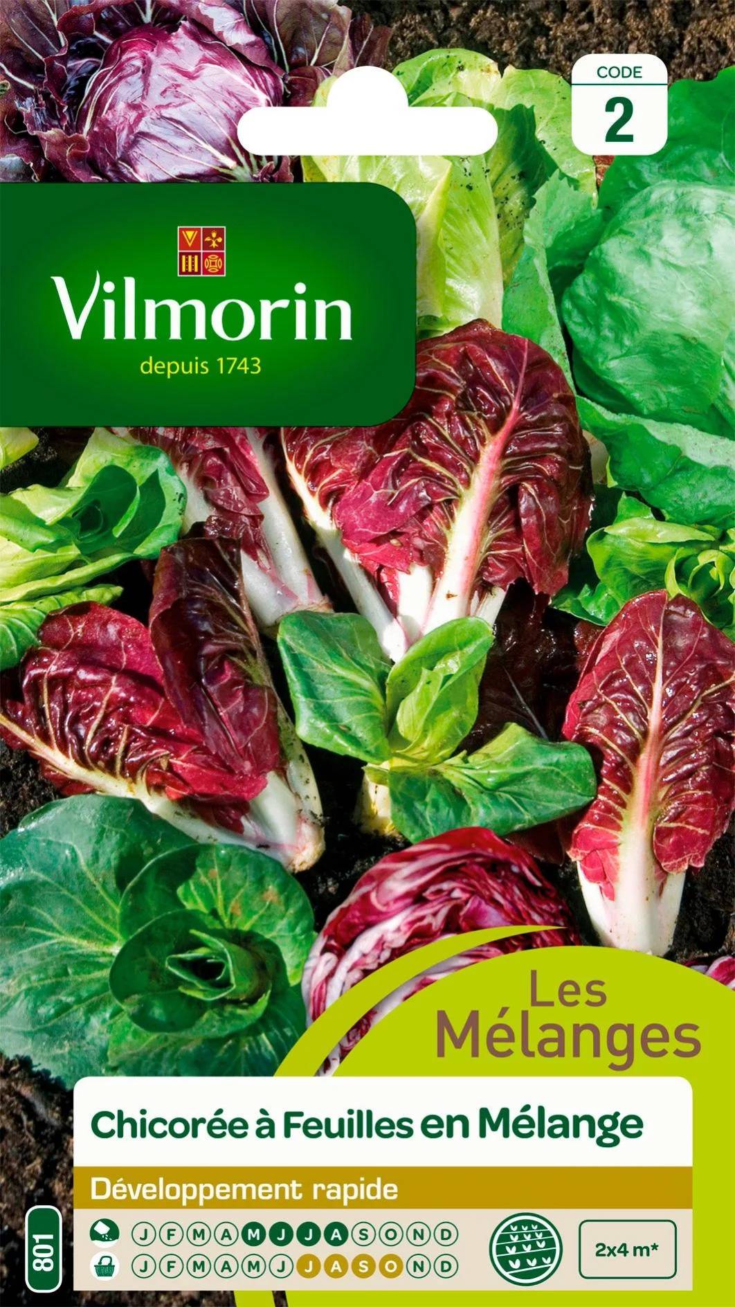 Vilmorin - Chicorée à larges feuilles en mélange série 2 sachet graines 4 g - Vilmorin - Image 1