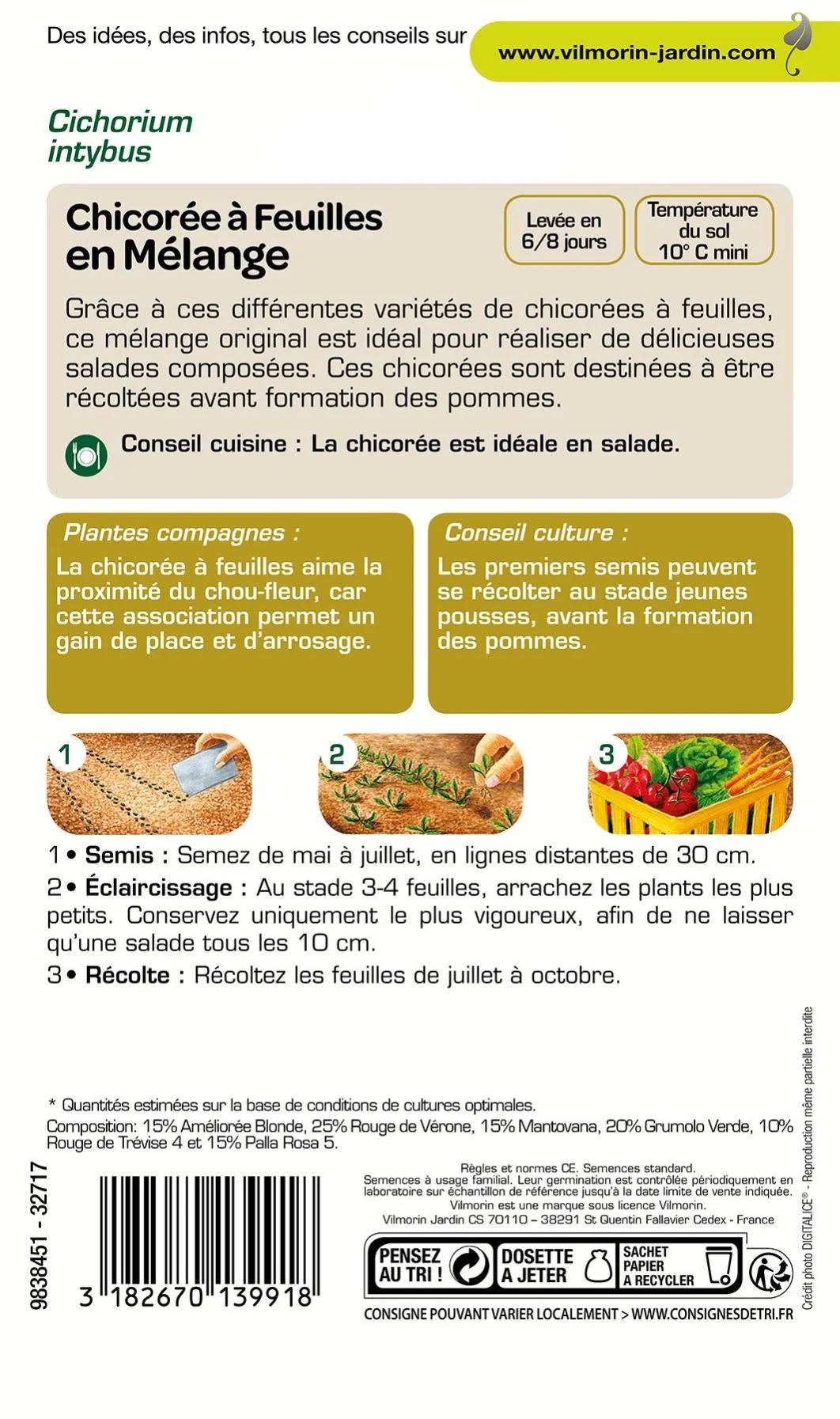 Vilmorin - Chicorée à larges feuilles en mélange série 2 sachet graines 4 g - Vilmorin - Image 4