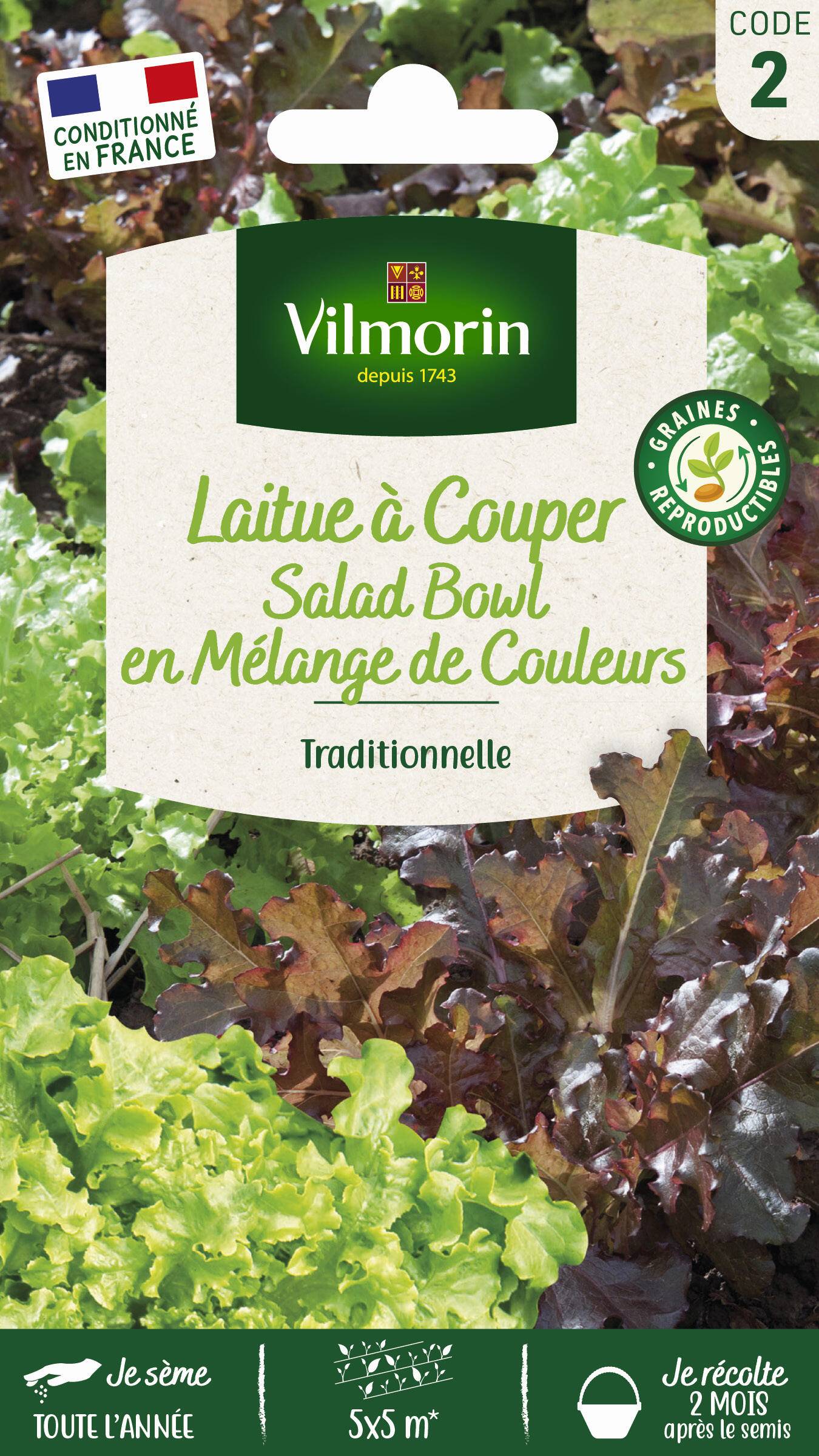 Vilmorin - Laitue à couper en mélange bowl verte et rouge série 2 sachet graines 4 g - Vilmorin - Image 2