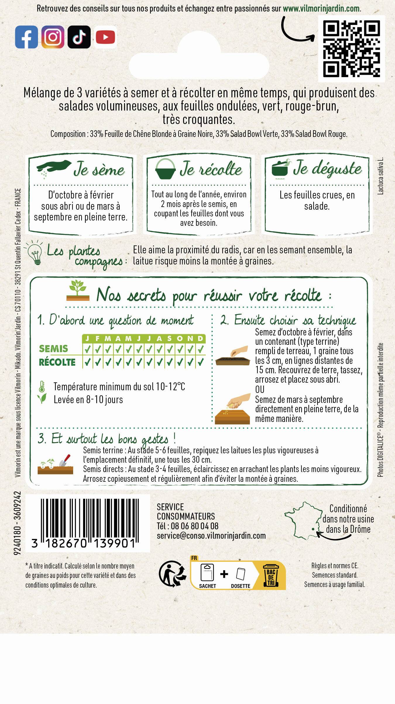 Vilmorin - Laitue à couper en mélange bowl verte et rouge série 2 sachet graines 4 g - Vilmorin - Image 4