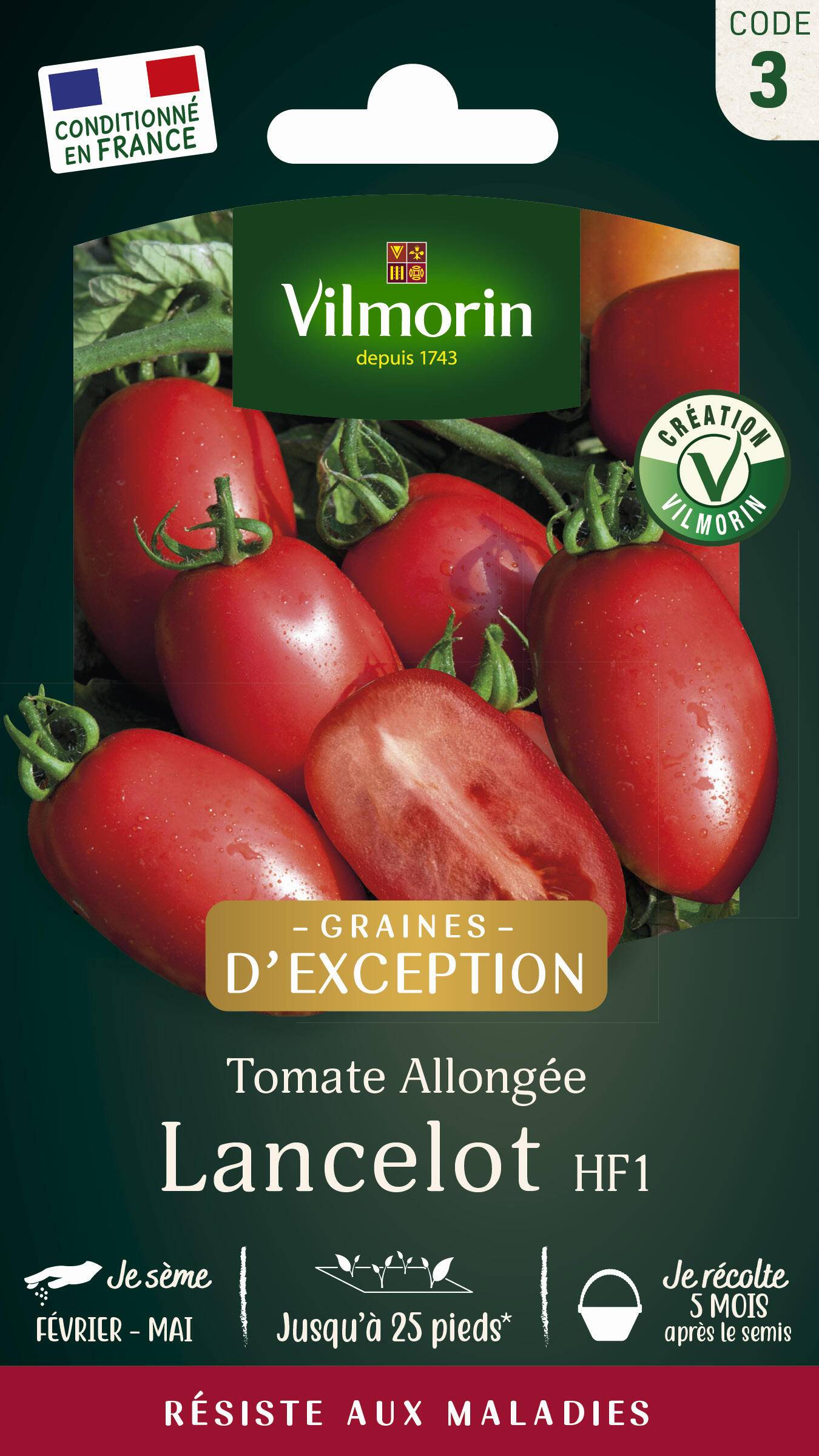 Vilmorin - Tomate Lancelot HF1 serie 3 sachet graines 0,1 g - Vilmorin - Image 1