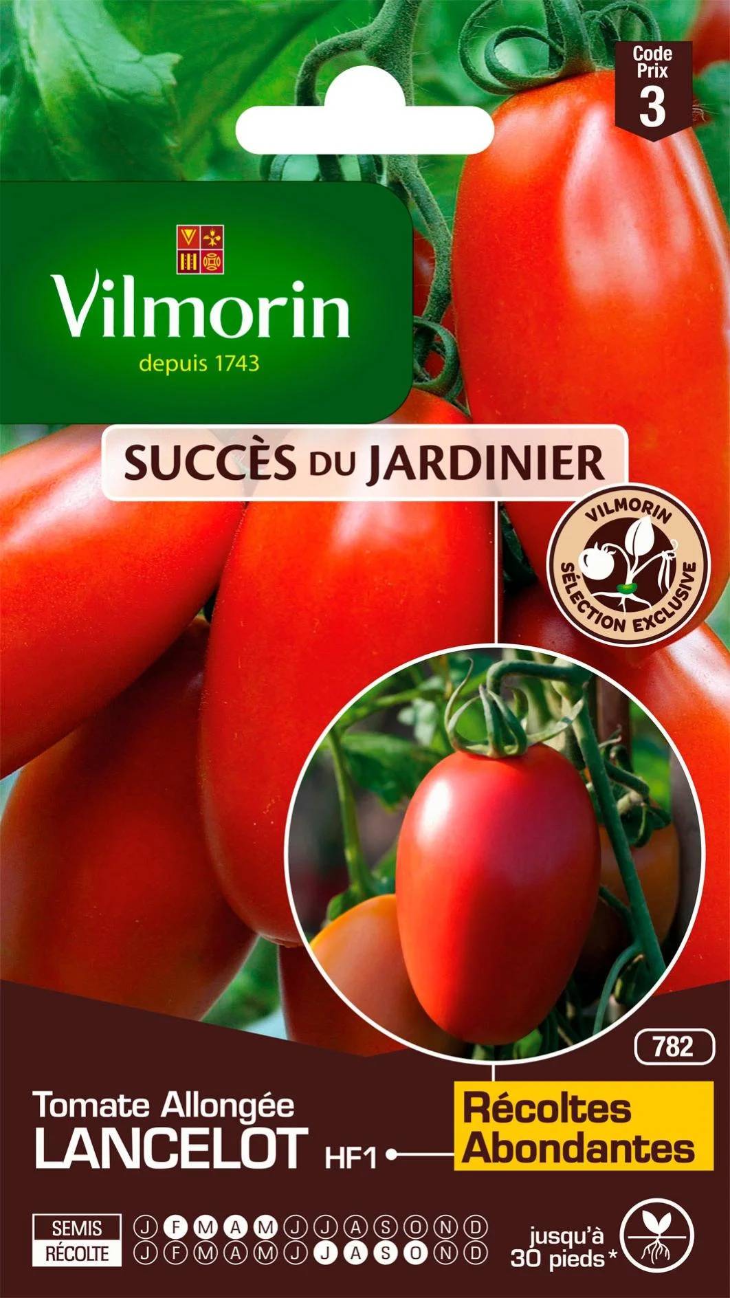 Vilmorin - Tomate Lancelot HF1 serie 3 sachet graines 0,1 g - Vilmorin - Image 2