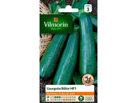 Vilmorin - Courgette belor hf1 obtention série 3 sachet graines 3 g - Vilmorin - Image 3