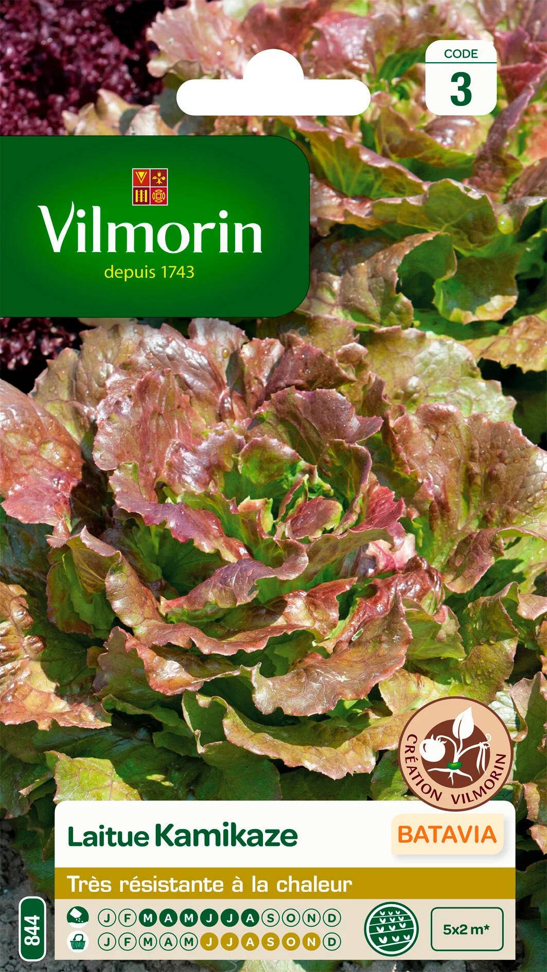Vilmorin - Laitue Batavia Kamikaze serie 3 sachet graines 4 g - Vilmorin - Image 1
