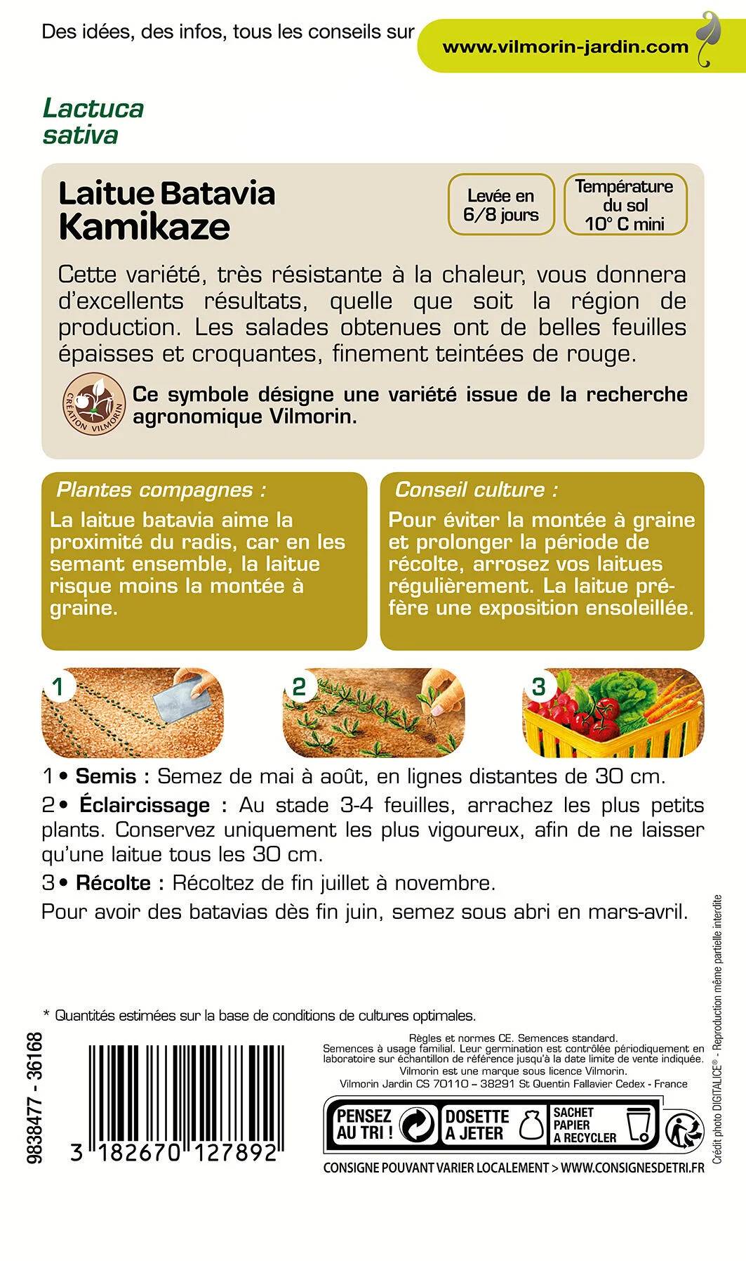 Vilmorin - Laitue Batavia Kamikaze serie 3 sachet graines 4 g - Vilmorin - Image 3