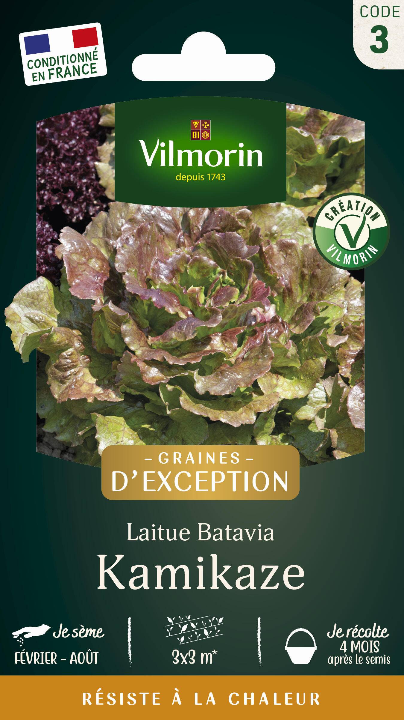 Vilmorin - Laitue Batavia Kamikaze serie 3 sachet graines 4 g - Vilmorin - Image 2