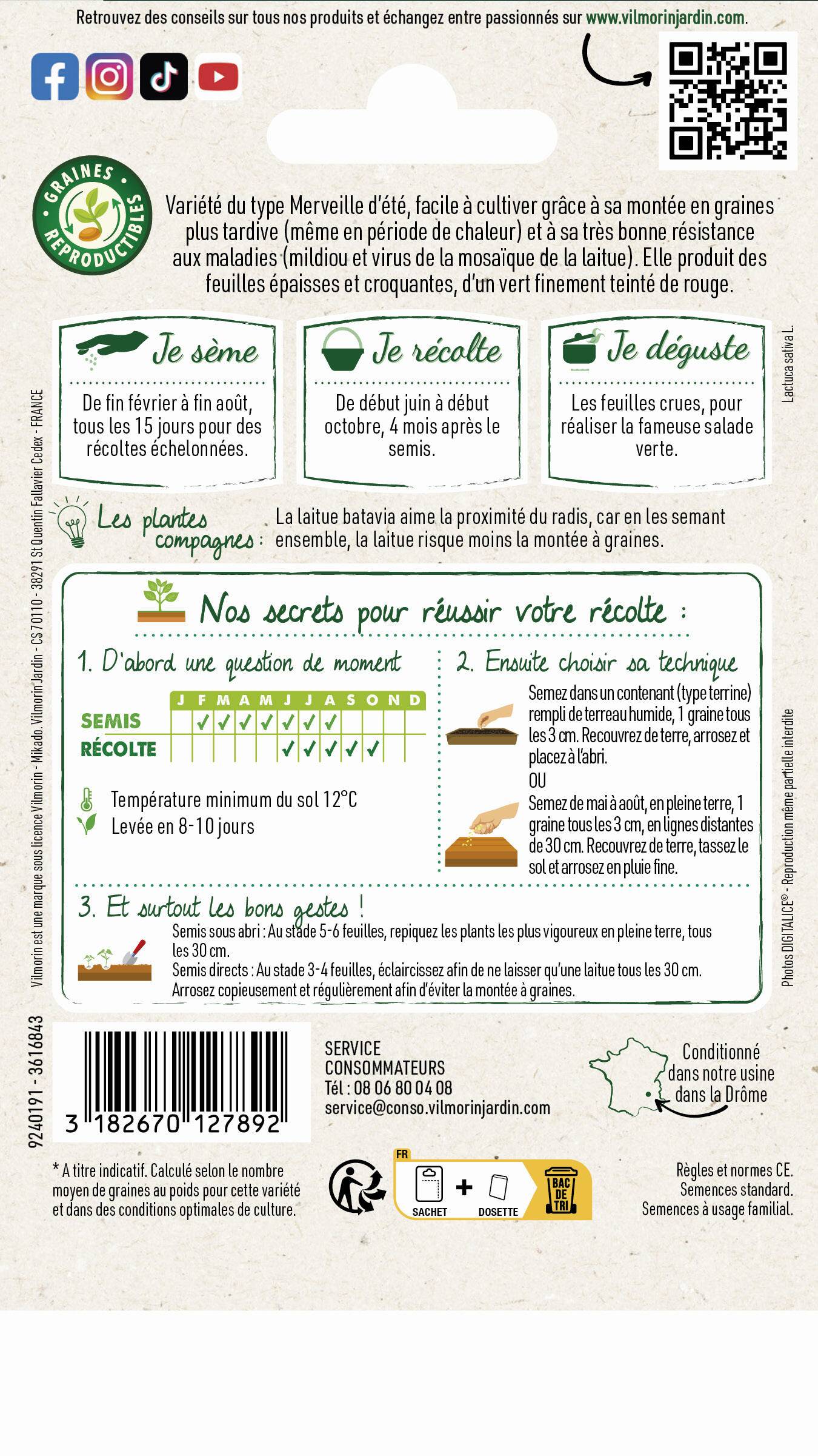 Vilmorin - Laitue Batavia Kamikaze serie 3 sachet graines 4 g - Vilmorin - Image 4