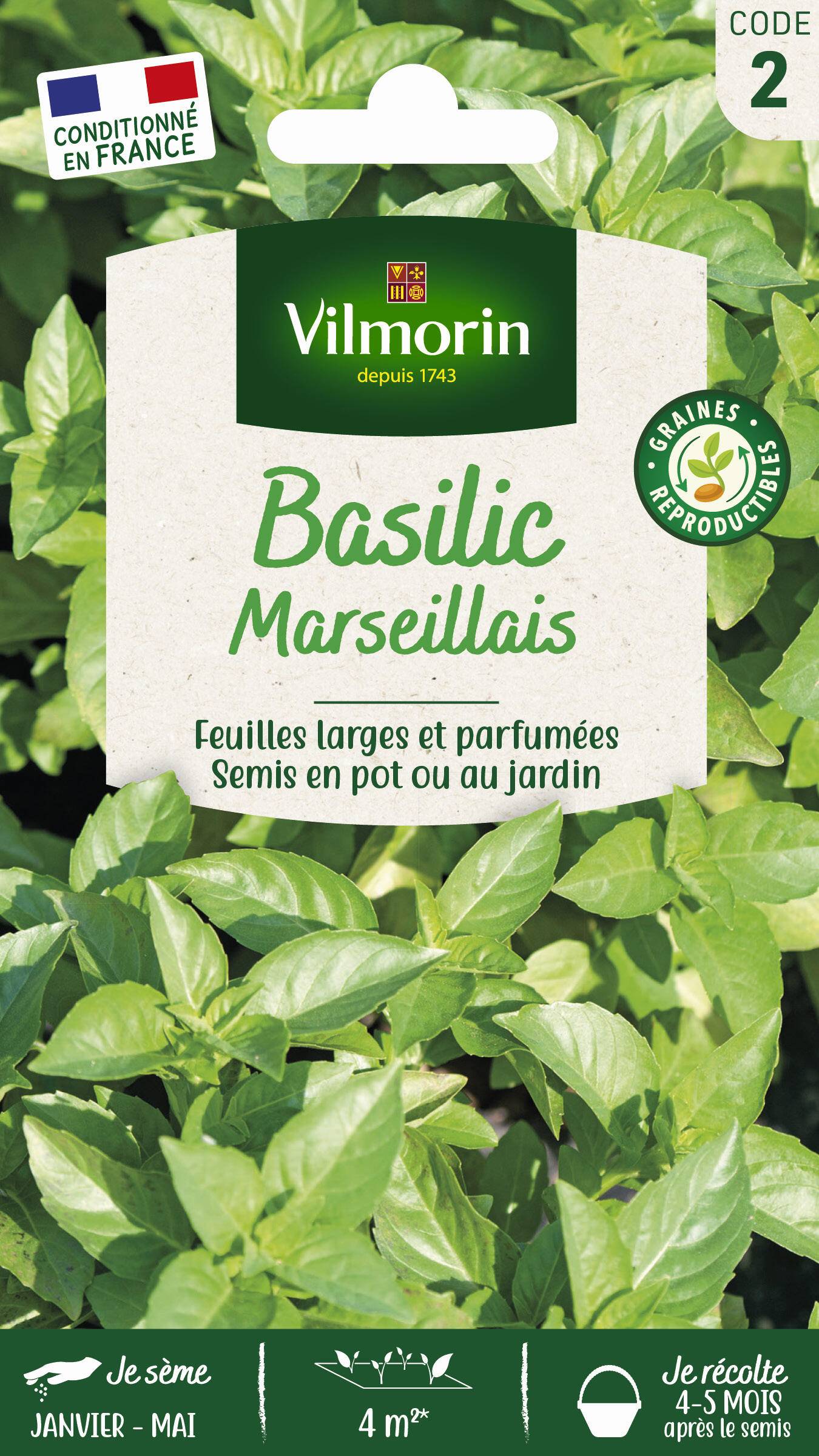 Vilmorin - Basilic marseillais série 2 sachet graines 1 g - Vilmorin - Image 2
