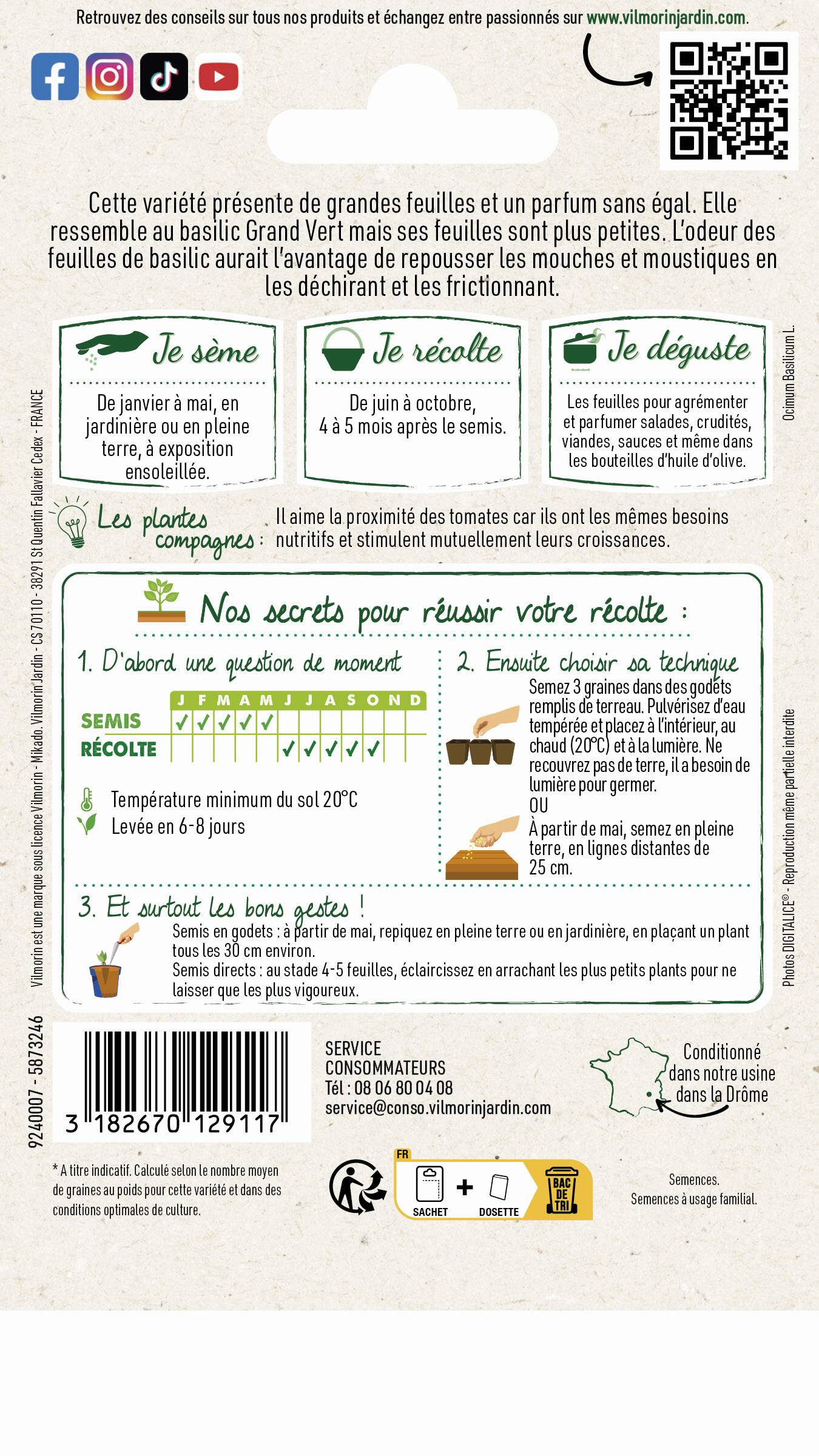 Vilmorin - Basilic marseillais série 2 sachet graines 1 g - Vilmorin - Image 4