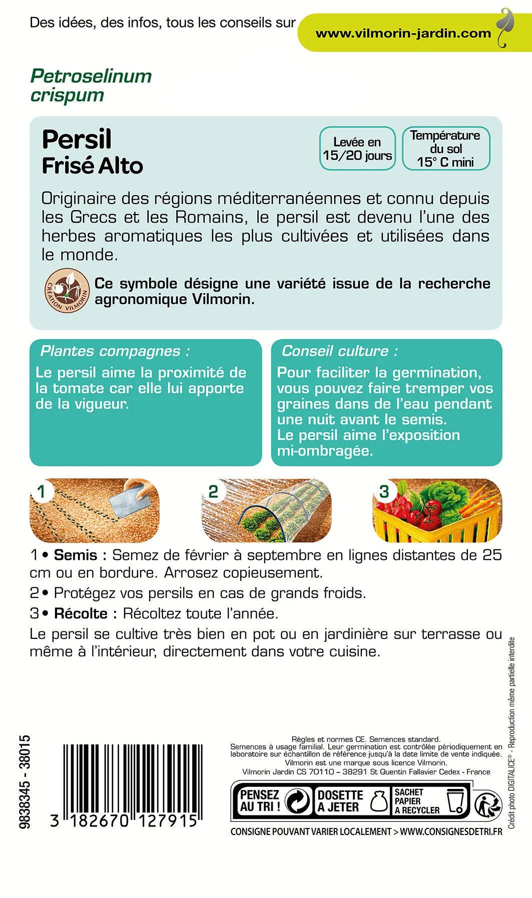 Vilmorin - Persil à feuilles frisé Alto création série 2 sachet graines 5 g - Vilmorin - Image 1