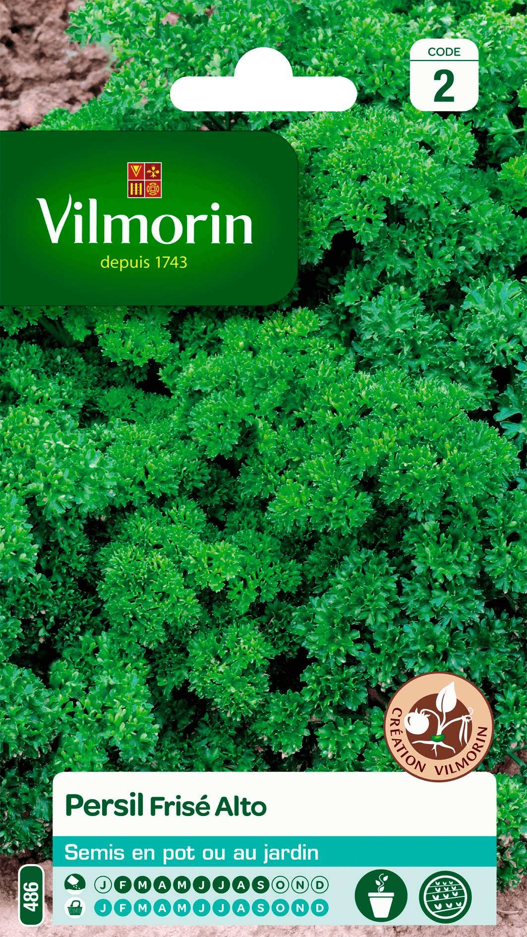 Vilmorin - Persil à feuilles frisé Alto création série 2 sachet graines 5 g - Vilmorin - Image 2