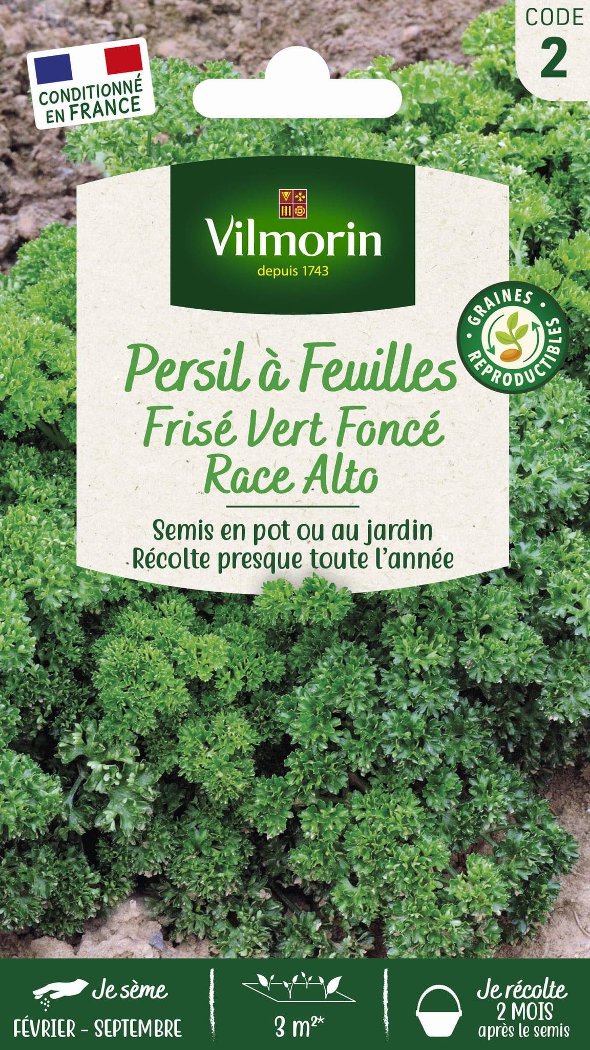 Vilmorin - Persil à feuilles frisé Alto création série 2 sachet graines 5 g - Vilmorin - Image 3