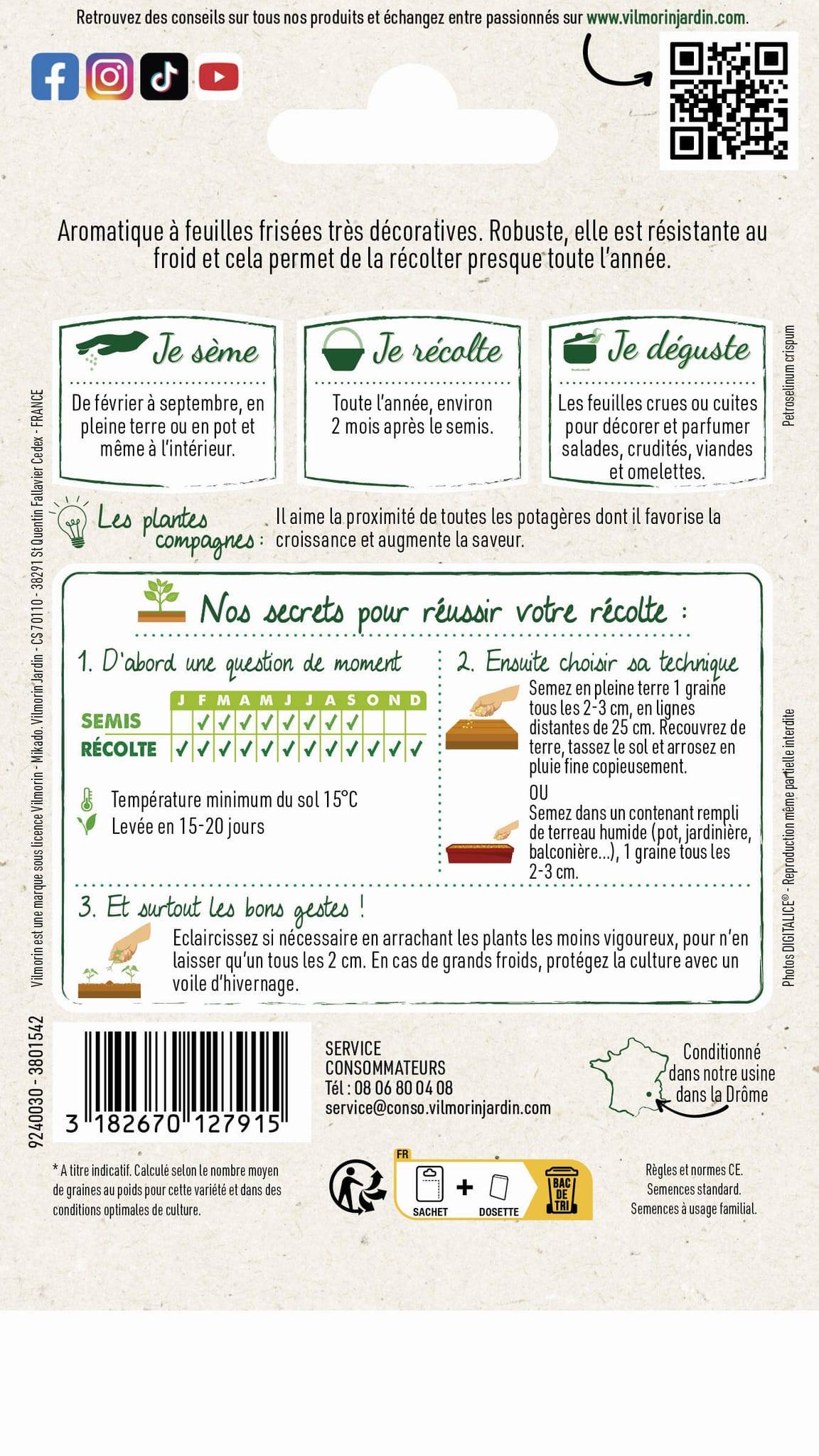 Vilmorin - Persil à feuilles frisé Alto création série 2 sachet graines 5 g - Vilmorin - Image 4