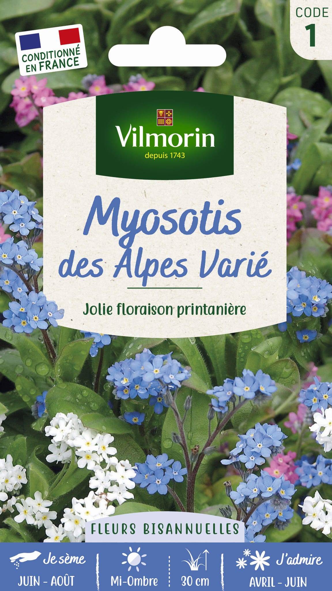 Vilmorin - Myosotis des alpes varie série 1 sachet graines 0,7 g - Vilmorin - Image 1