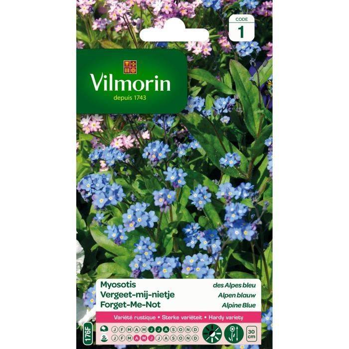 Vilmorin - Myosotis des alpes bleu série 1 sachet graines 0,7 g - Vilmorin - Image 2
