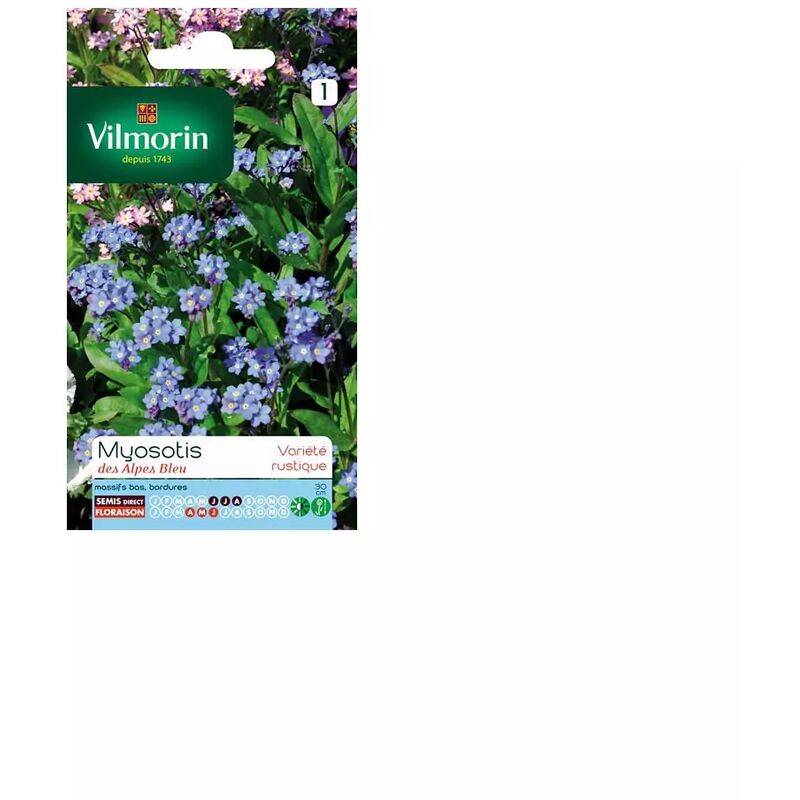 Vilmorin - Myosotis des alpes bleu série 1 sachet graines 0,7 g - Vilmorin - Image 4