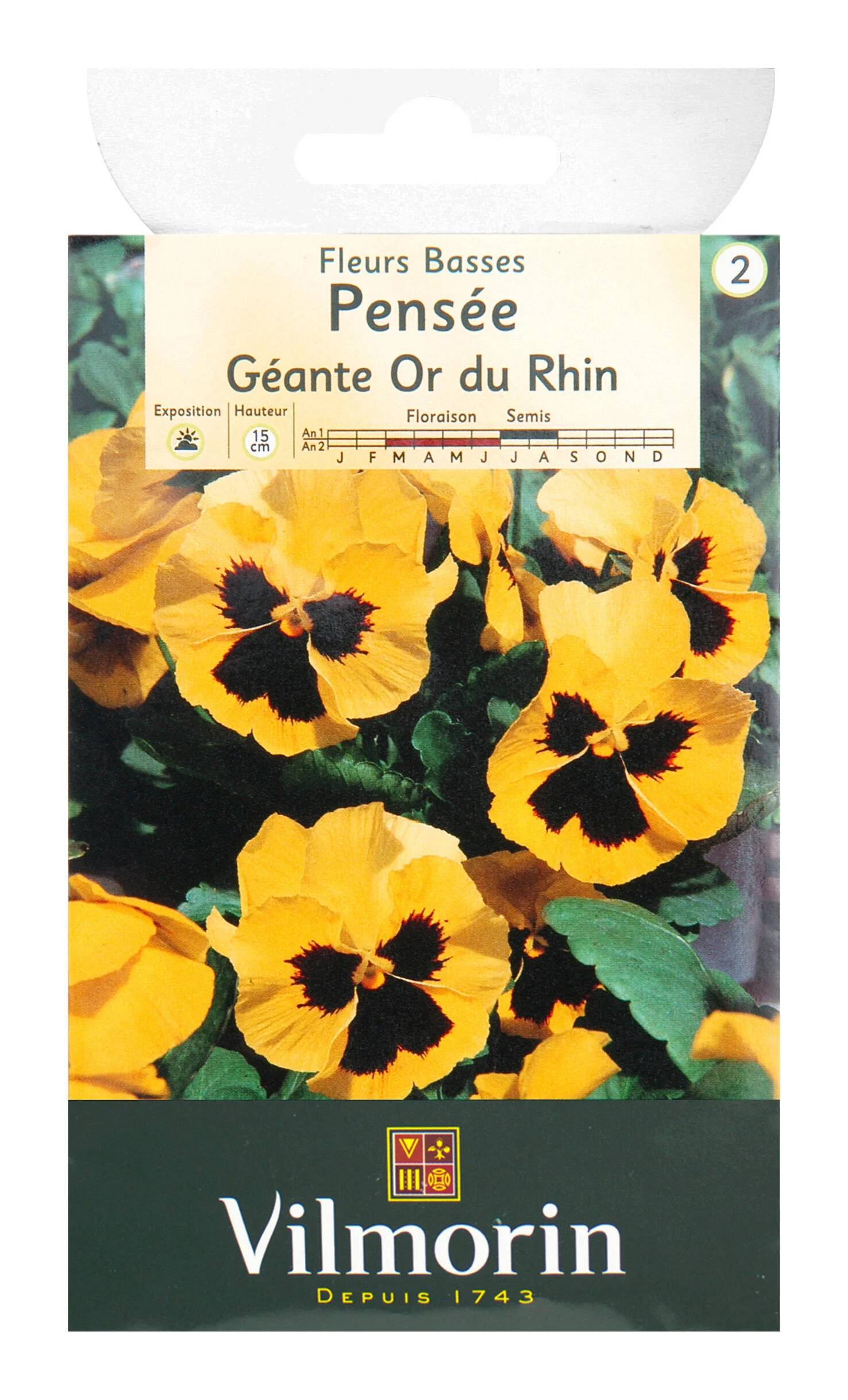 Vilmorin - Pensée géante or du Rhin jaune macule série 2 sachet graines 0,4 g - Vilmorin - Image 3
