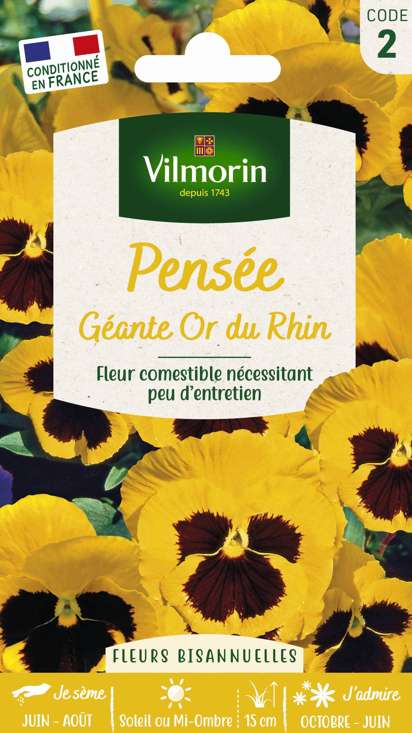 Vilmorin - Pensée géante or du Rhin jaune macule série 2 sachet graines 0,4 g - Vilmorin - Image 1