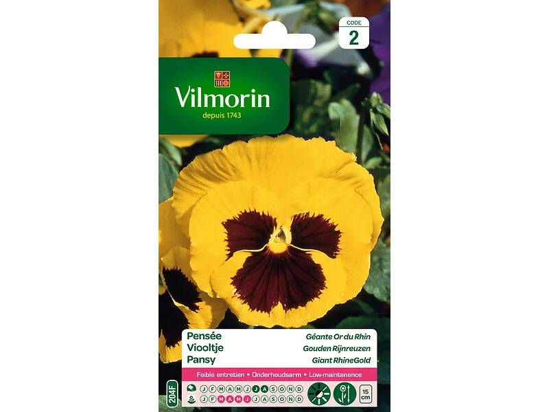 Vilmorin - Pensée géante or du Rhin jaune macule série 2 sachet graines 0,4 g - Vilmorin - Image 5
